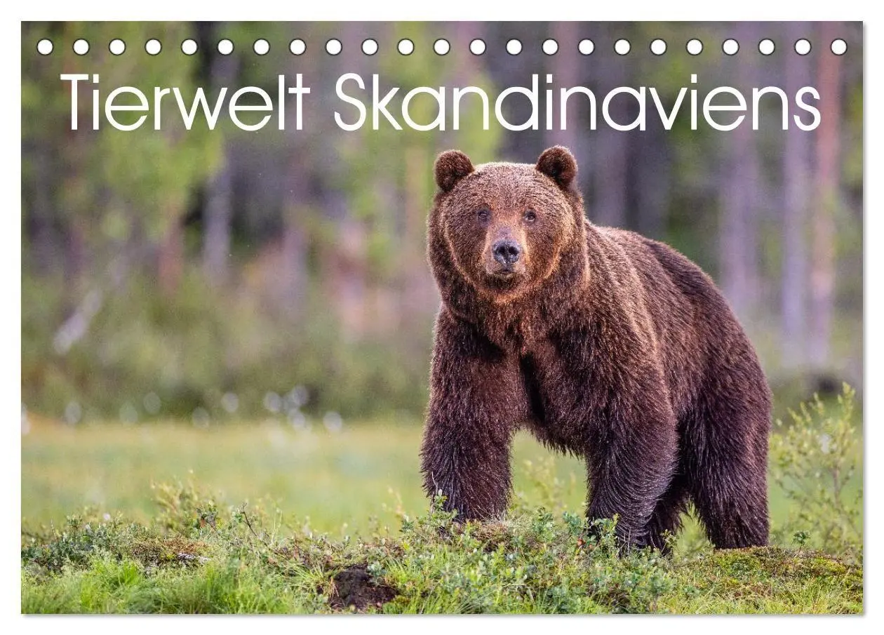 Cover: 9783516665185 | Tierwelt Skandinaviens (Tischkalender 2026 DIN A5 quer), CALVENDO...