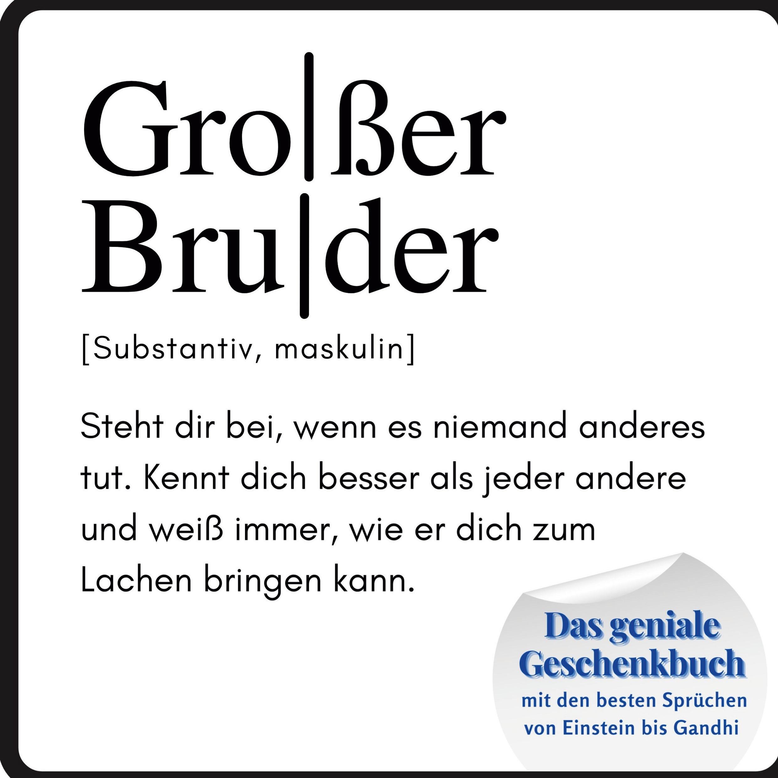 Cover: 9783750515185 | Großer Bruder | Steffi Meier | Taschenbuch | Paperback | 82 S. | 2022