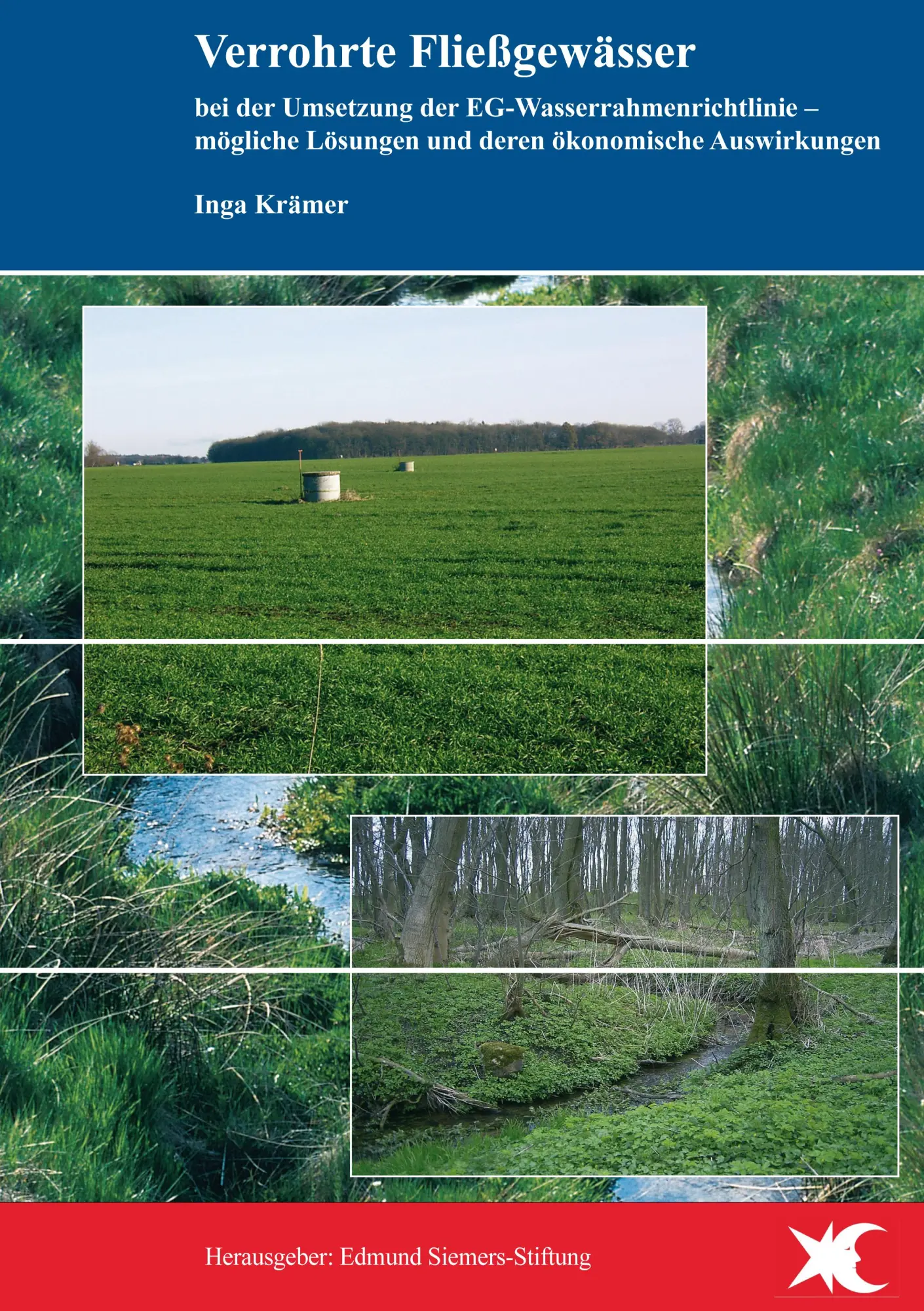 Cover: 9783833465185 | Verrohrte Fließgewässer bei der Umsetzung der...