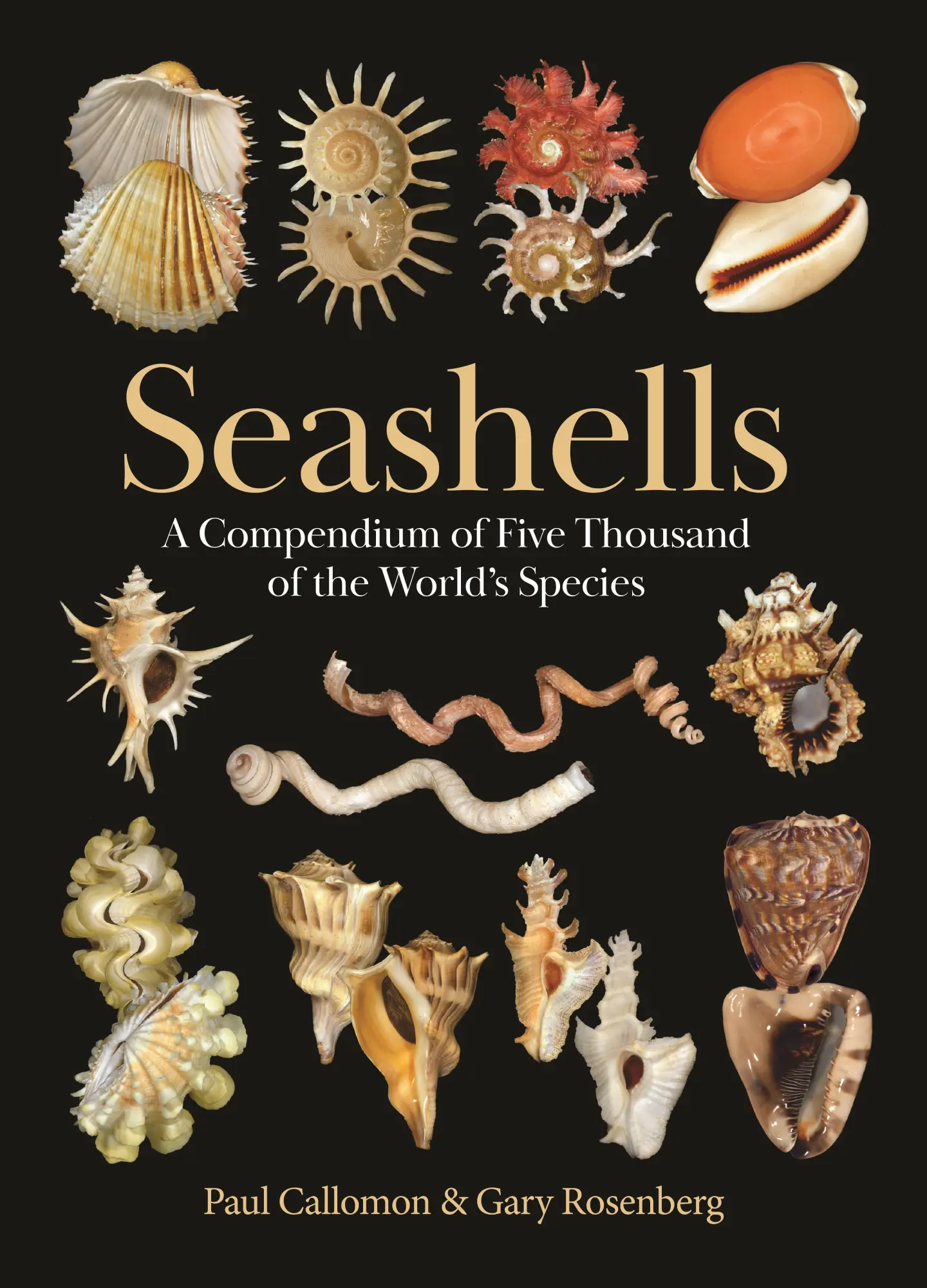 Cover: 9780691265285 | Seashells | A Compendium of Five Thousand of the World's Species