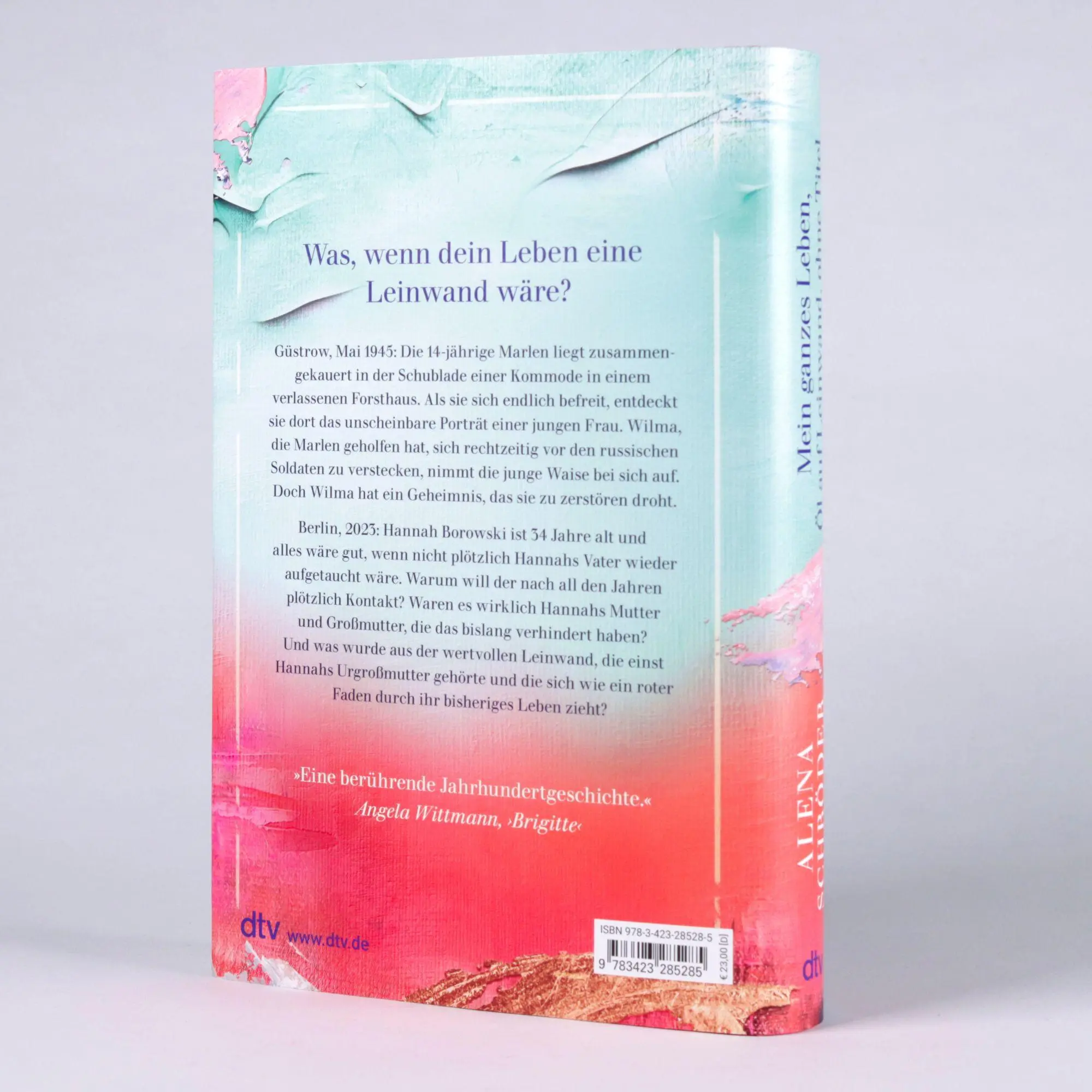 Bild: 9783423285285 | Mein ganzes Leben, Öl auf Leinwand, ohne Titel | Alena Schröder | Buch