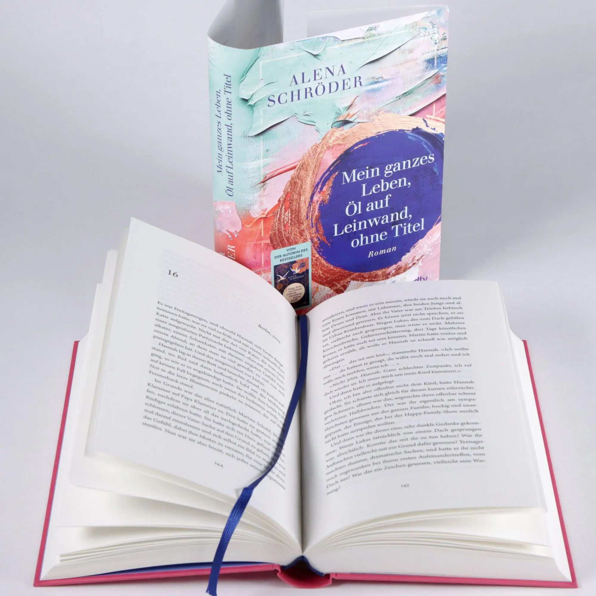 Bild: 9783423285285 | Mein ganzes Leben, Öl auf Leinwand, ohne Titel | Alena Schröder | Buch