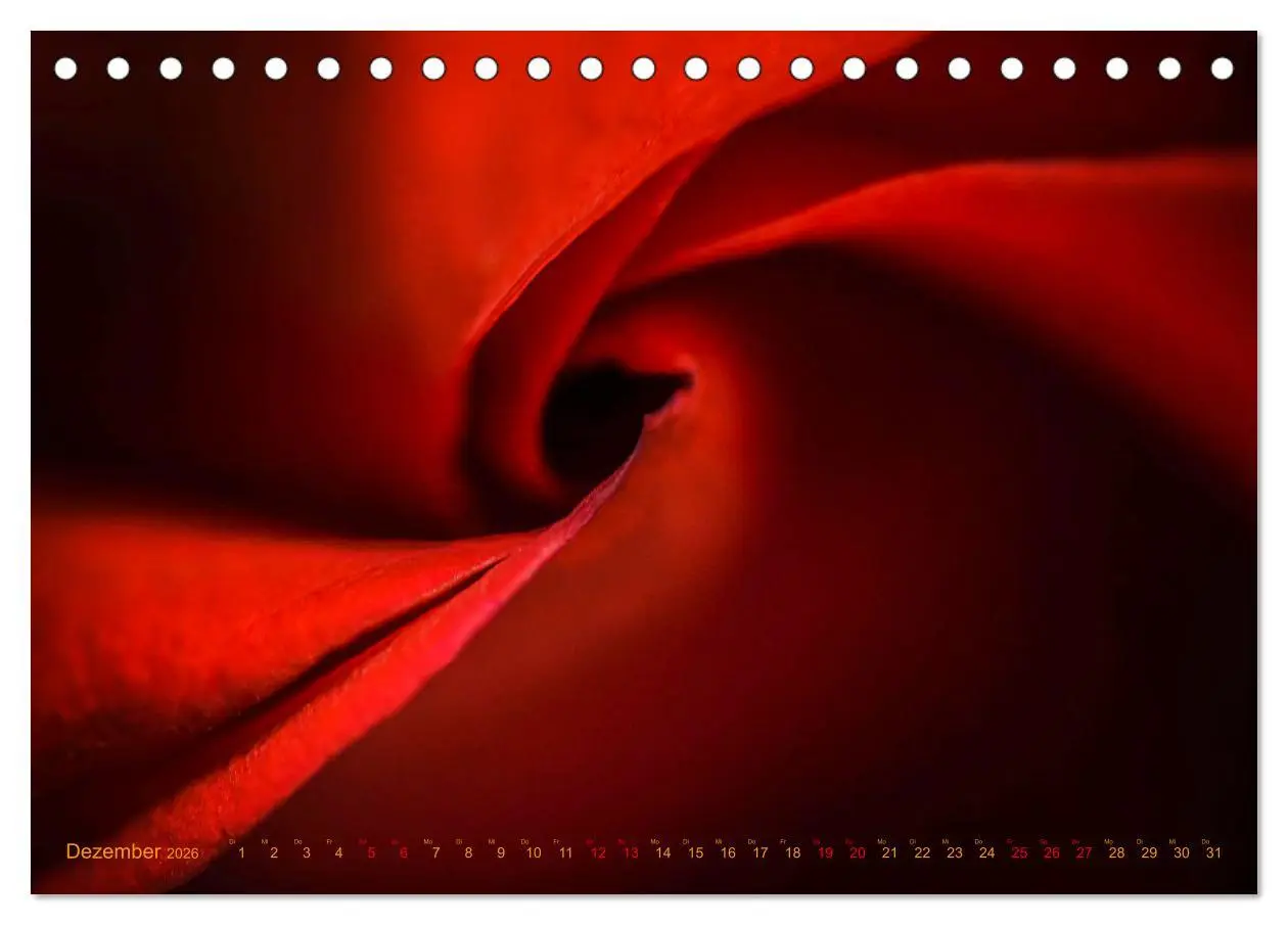 Bild: 9783457635285 | DEEP INSIDE - Blütenmakros (Tischkalender 2026 DIN A5 quer),...