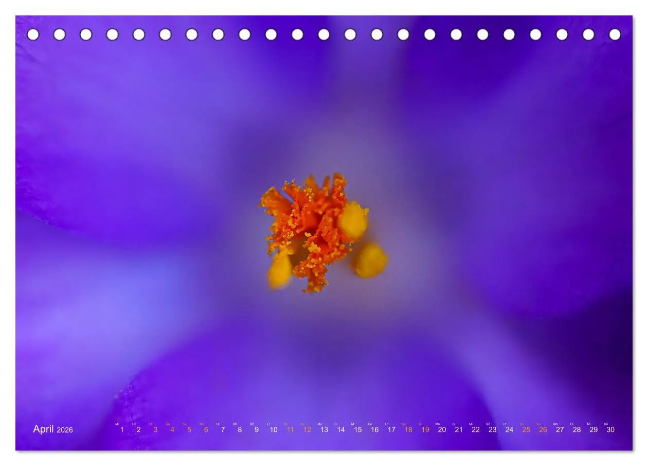Bild: 9783457635285 | DEEP INSIDE - Blütenmakros (Tischkalender 2026 DIN A5 quer),...