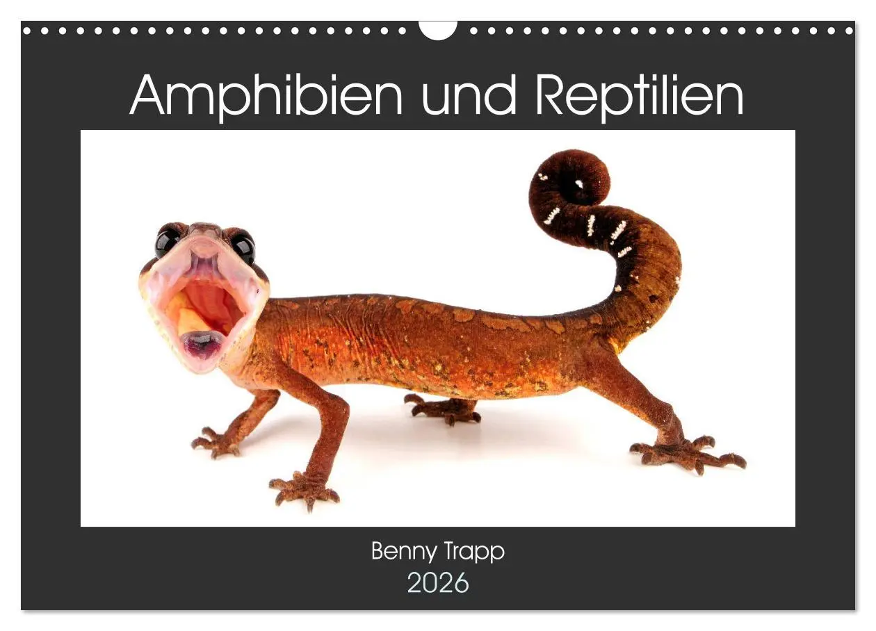 Cover: 9783457875285 | Amphibien und Reptilien (Wandkalender 2026 DIN A3 quer), CALVENDO...