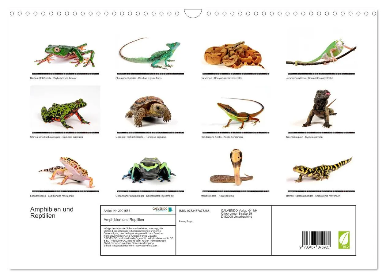 Bild: 9783457875285 | Amphibien und Reptilien (Wandkalender 2026 DIN A3 quer), CALVENDO...