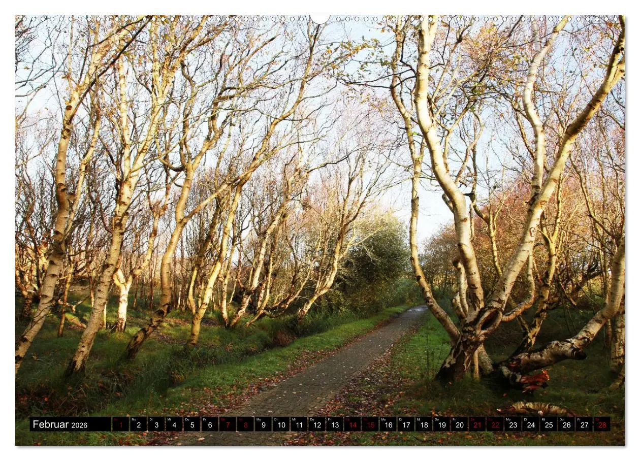 Bild: 9783457315385 | Insel Baltrum, Perle im Ostfriesischen Wattenmeer (Wandkalender...