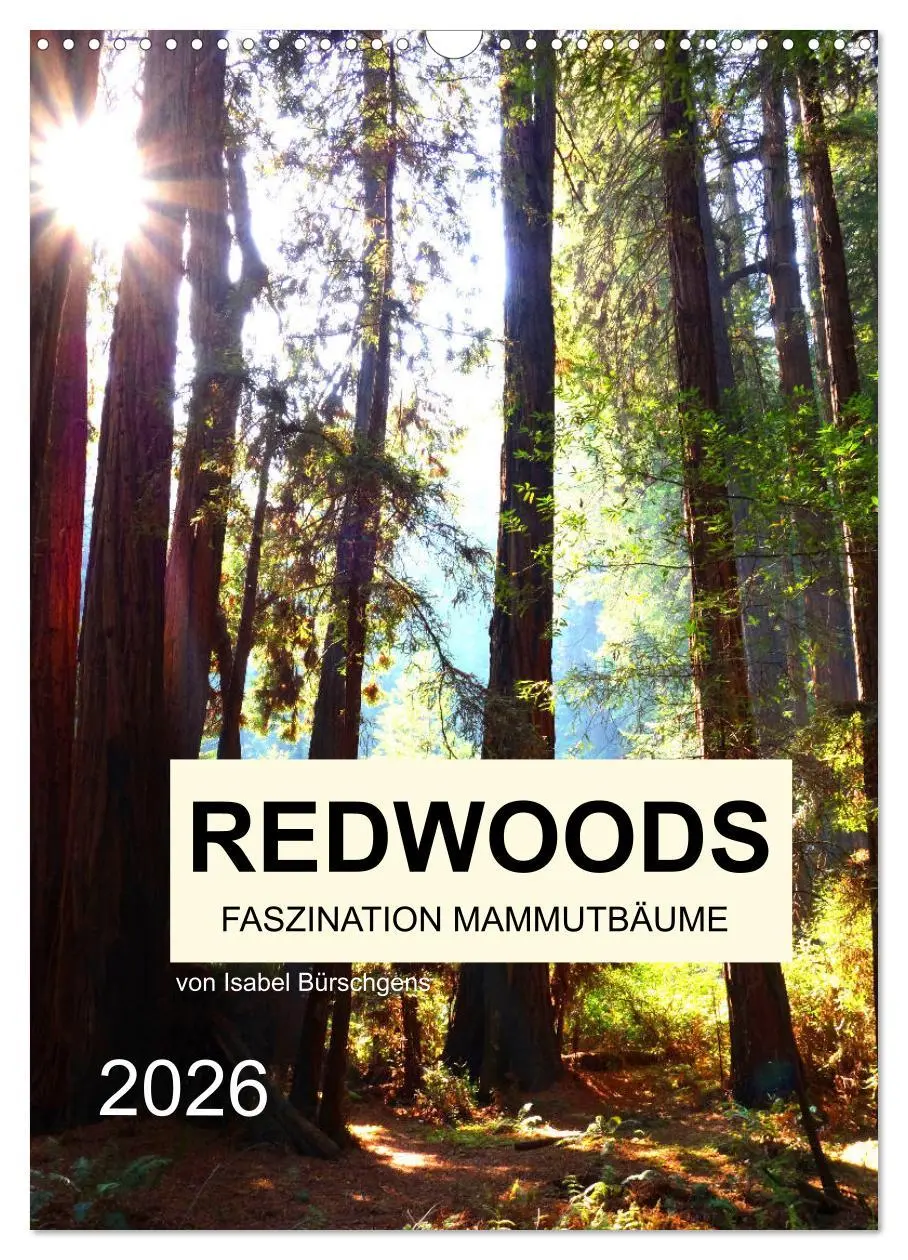 Cover: 9783516405385 | Redwoods - Faszination Mammutbäume (Wandkalender 2026 DIN A3 hoch),...
