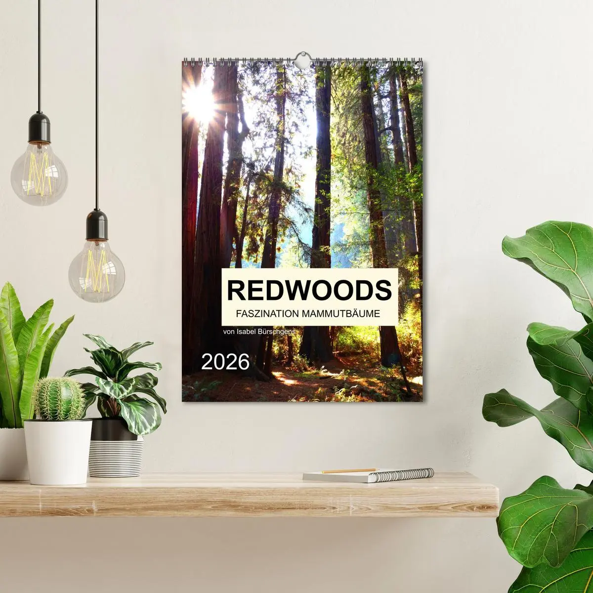 Bild: 9783516405385 | Redwoods - Faszination Mammutbäume (Wandkalender 2026 DIN A3 hoch),...