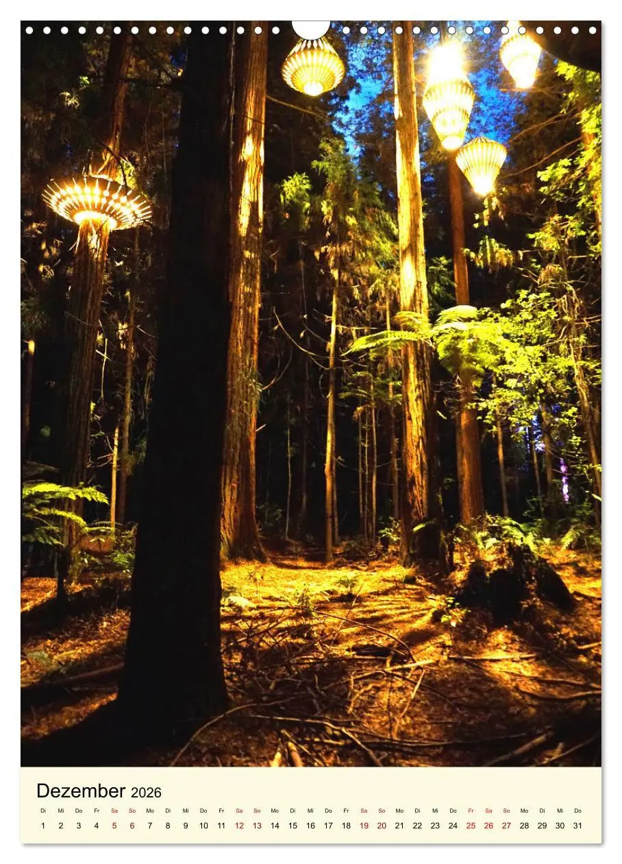 Bild: 9783516405385 | Redwoods - Faszination Mammutbäume (Wandkalender 2026 DIN A3 hoch),...