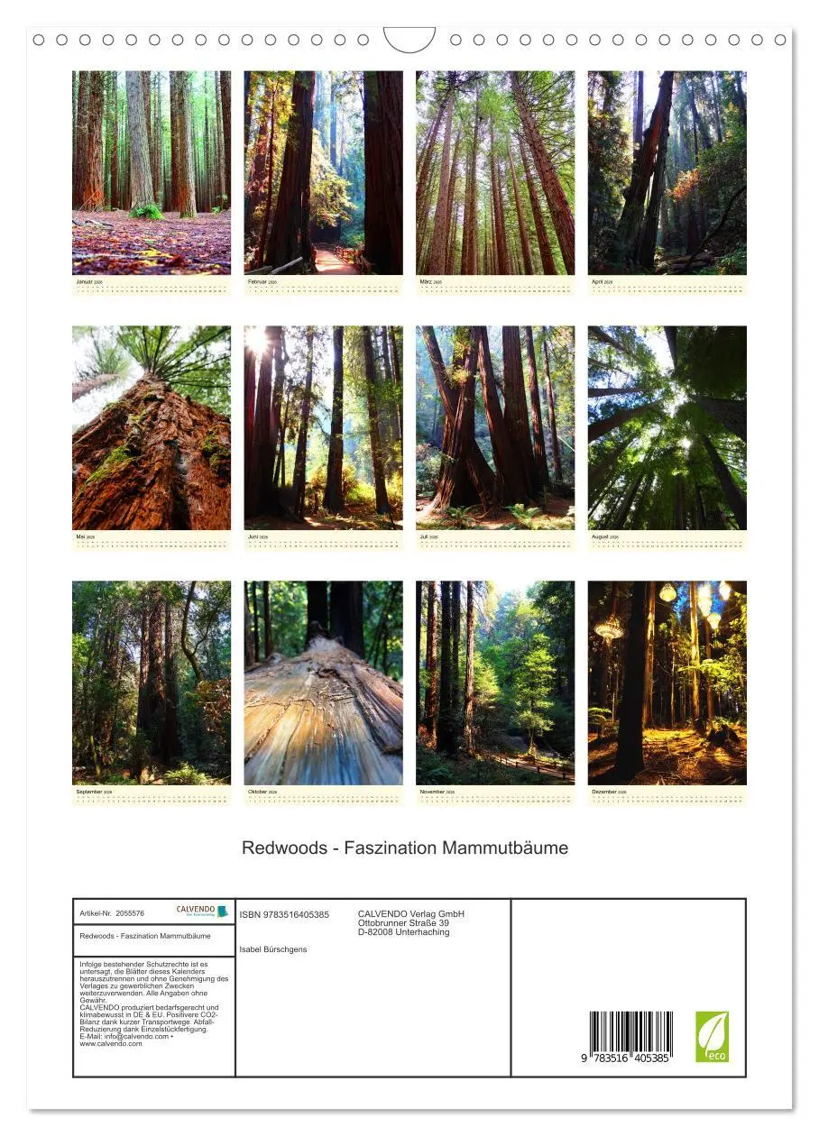 Bild: 9783516405385 | Redwoods - Faszination Mammutbäume (Wandkalender 2026 DIN A3 hoch),...