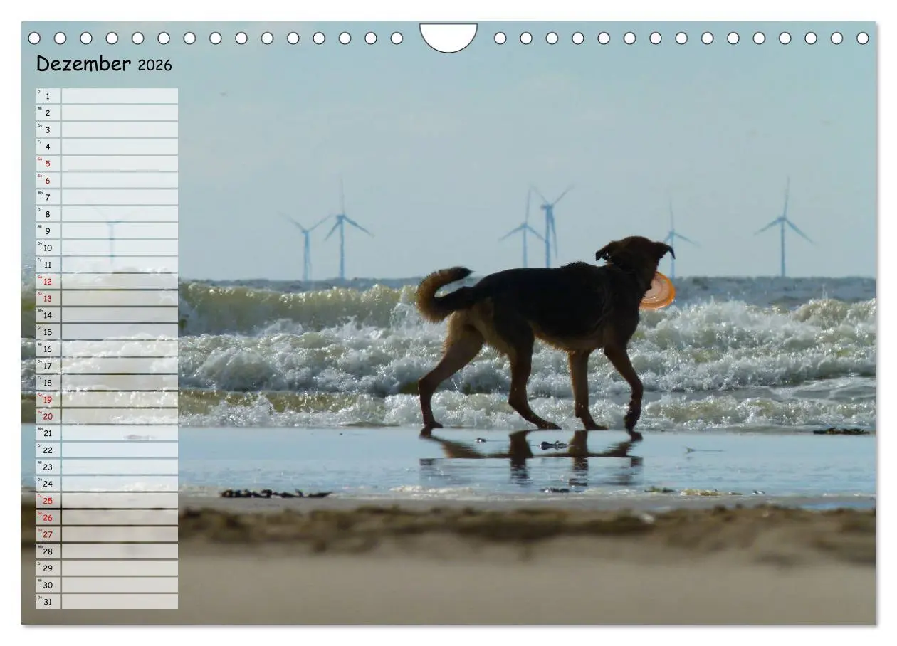 Bild: 9783457925485 | Egmond aan Zee (Wandkalender 2026 DIN A4 quer), CALVENDO...