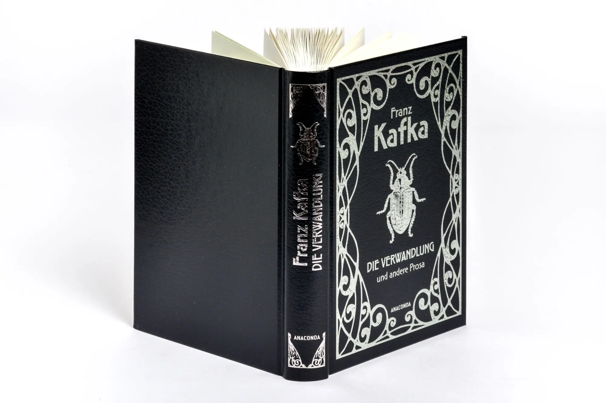 Bild: 9783730615485 | Die Verwandlung und andere Prosa | Franz Kafka | Buch | 256 S. | 2025