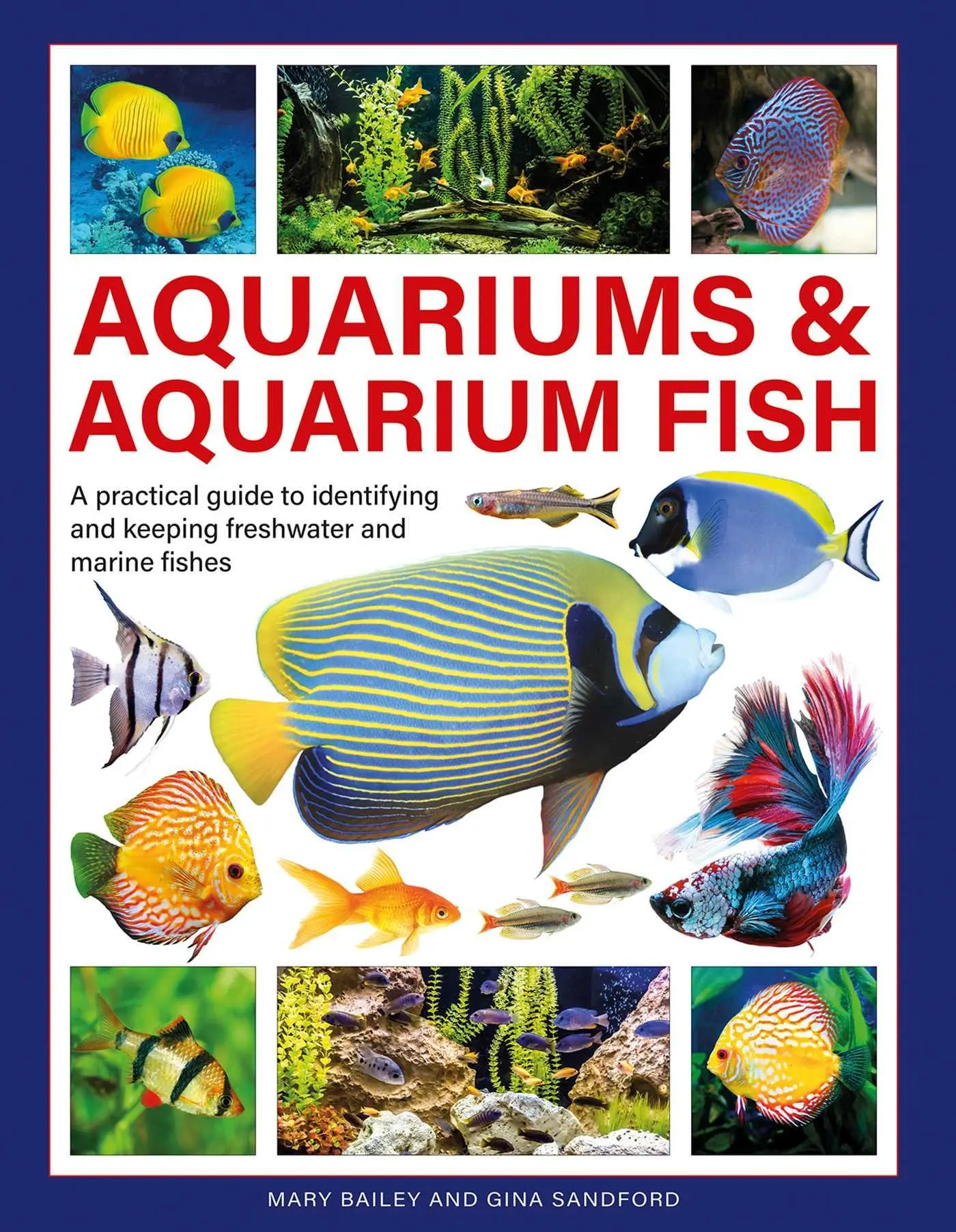 Cover: 9780754835585 | Aquariums &amp; Aquarium Fish | Mary Bailey (u. a.) | Buch | Gebunden