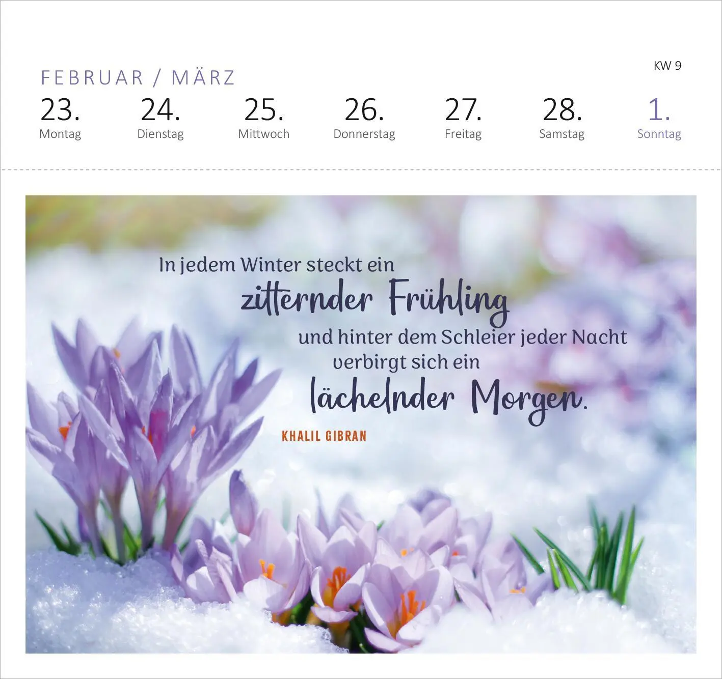 Bild: 4014489135685 | Postkartenkalender Gartenglück 2026 | Kalender | Spiralaufsteller