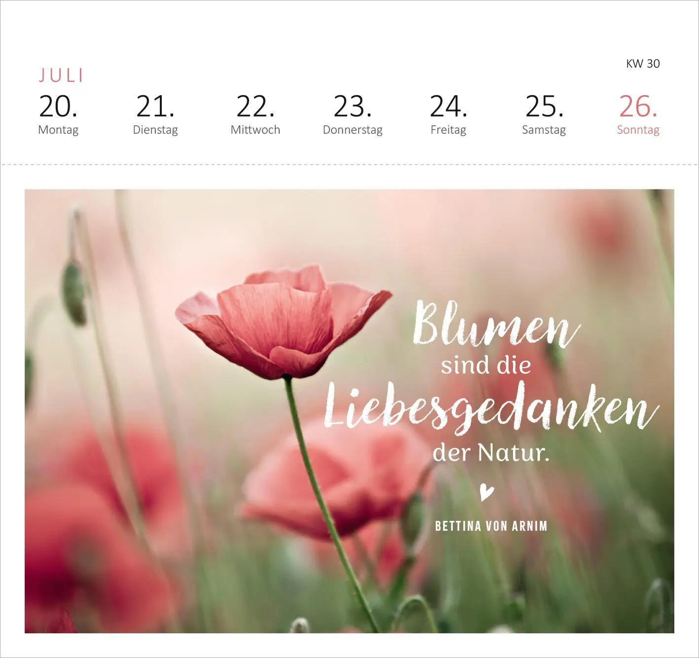 Bild: 4014489135685 | Postkartenkalender Gartenglück 2026 | Kalender | Spiralaufsteller