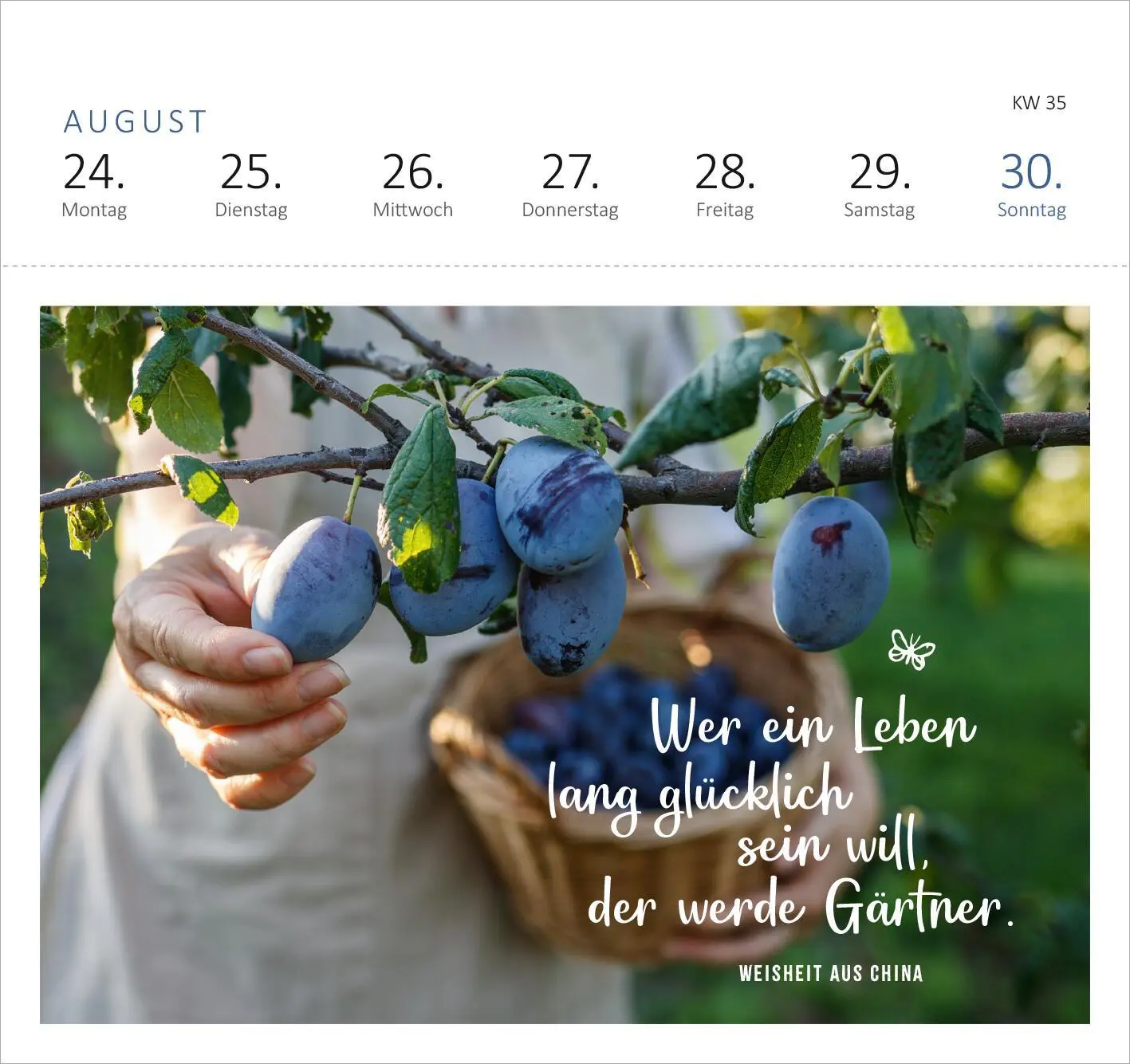 Bild: 4014489135685 | Postkartenkalender Gartenglück 2026 | Kalender | Spiralaufsteller