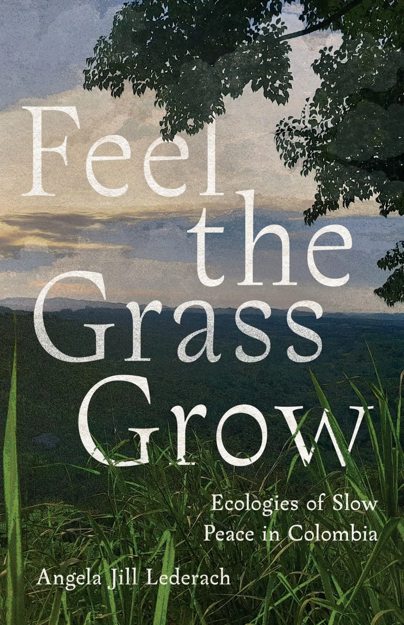 Cover: 9781503635685 | Feel the Grass Grow | Ecologies of Slow Peace in Colombia | Lederach