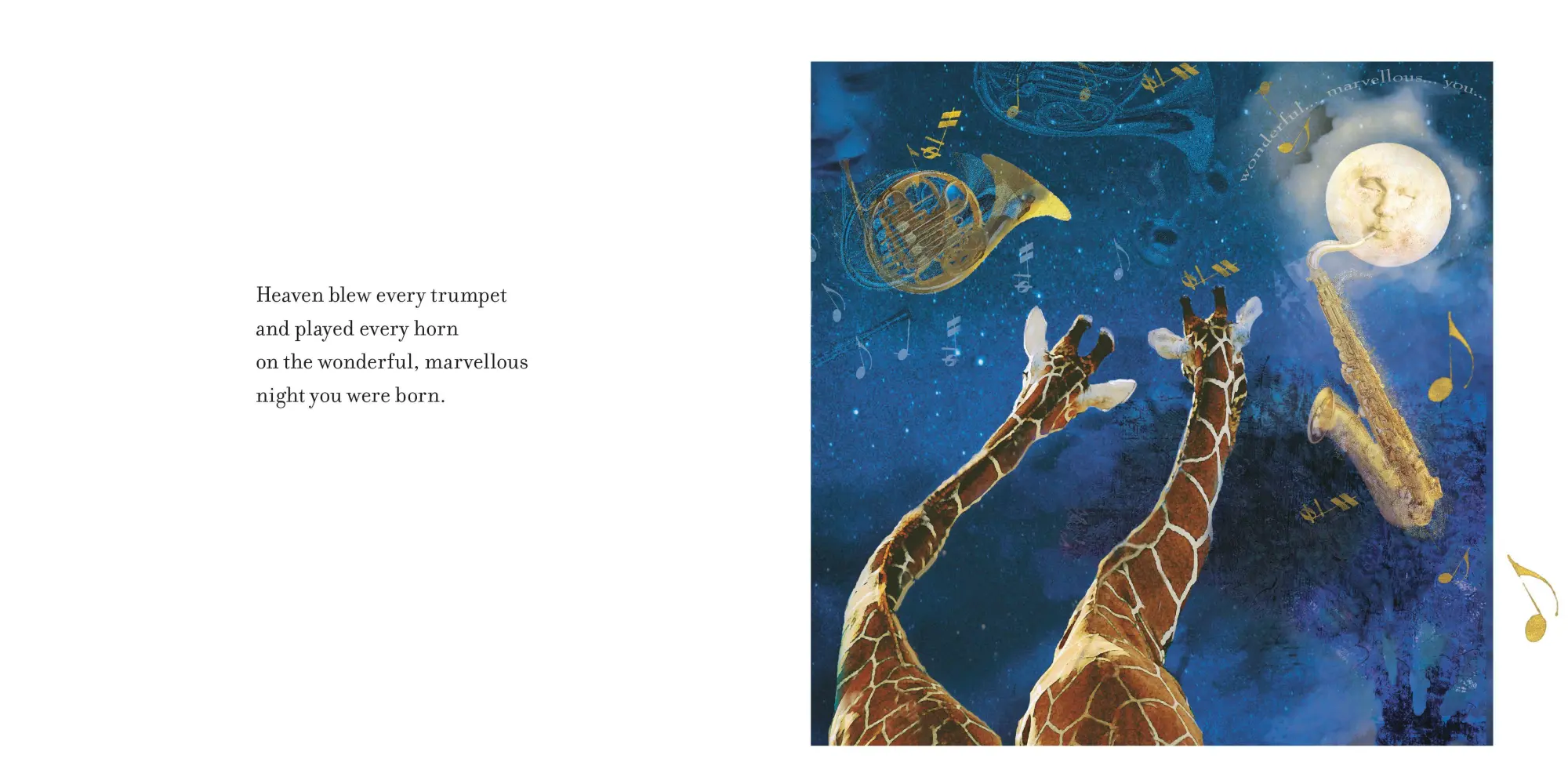 Bild: 9781529095685 | On the Night You Were Born | A Special Gift for a New Baby | Tillman