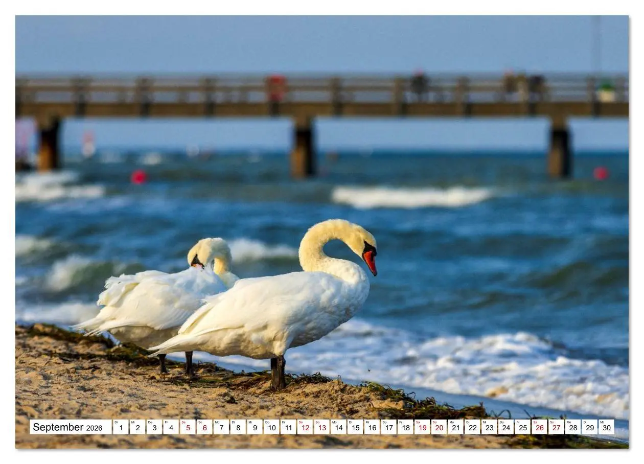 Bild: 9783516615685 | Travemünde - Wo das Meer atmet (Wandkalender 2026 DIN A2 quer),...