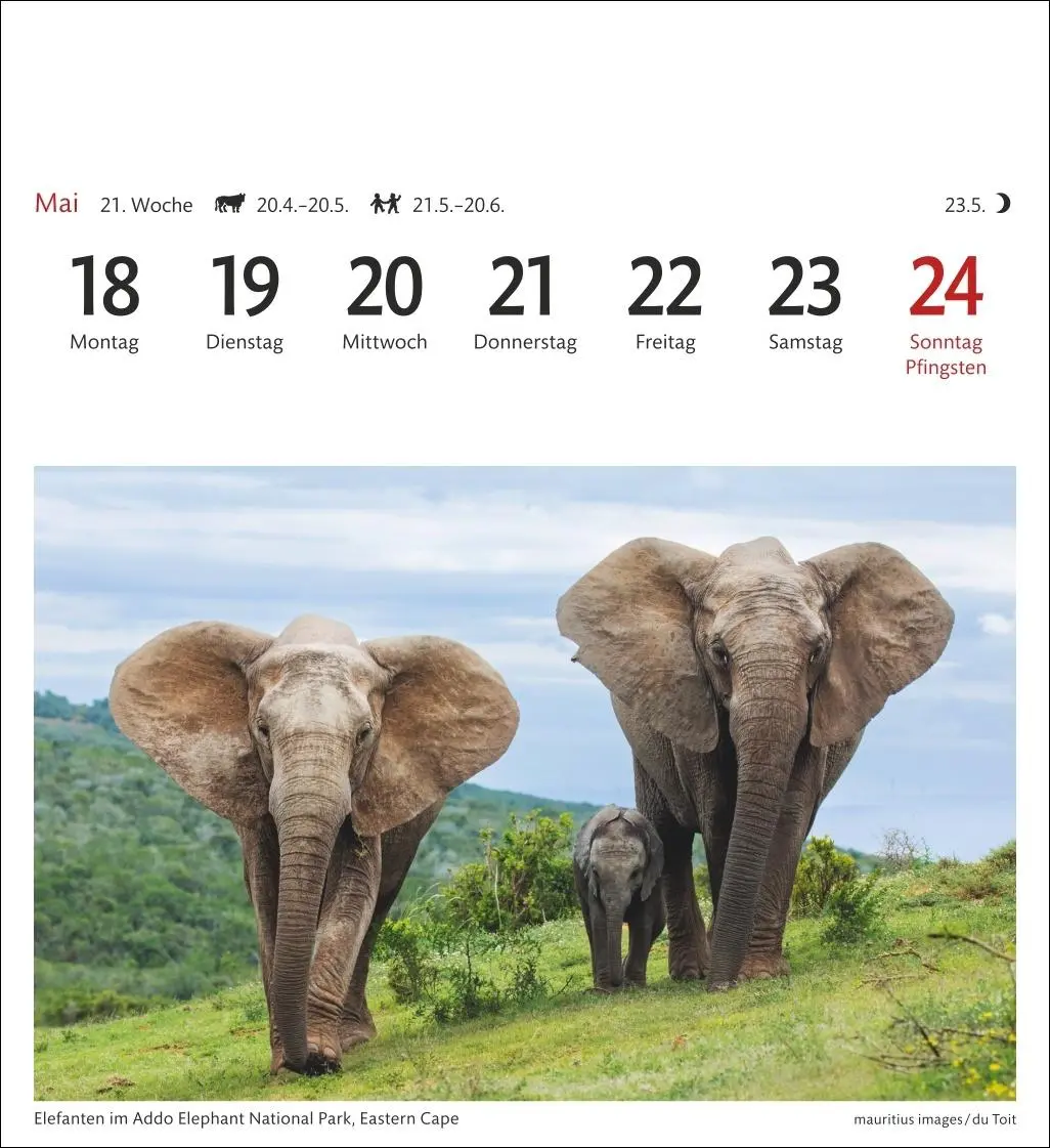 Bild: 9783840035685 | Südafrika &amp; Namibia Sehnsuchtskalender 2026 - Wochenkalender mit 53...