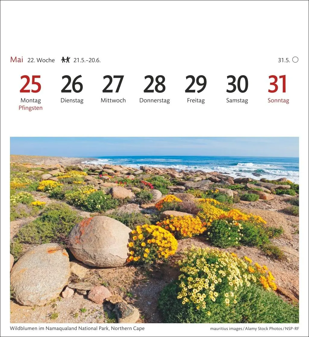 Bild: 9783840035685 | Südafrika &amp; Namibia Sehnsuchtskalender 2026 - Wochenkalender mit 53...