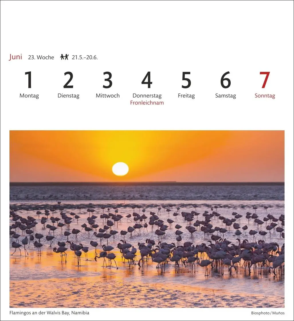 Bild: 9783840035685 | Südafrika &amp; Namibia Sehnsuchtskalender 2026 - Wochenkalender mit 53...