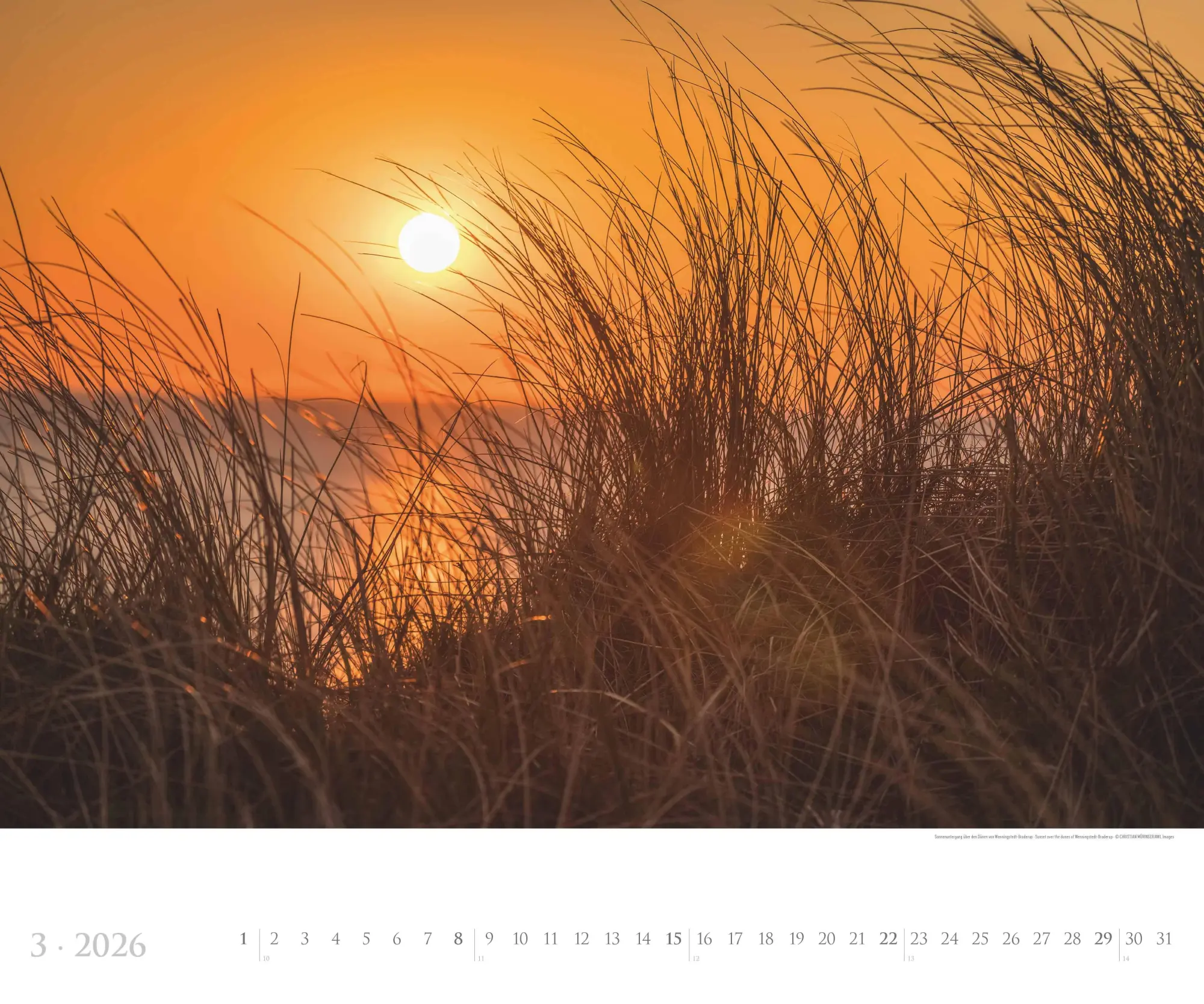 Bild: 4069095005785 | Sylt 2026 - Bildkalender XXL 60x50 cm - hochwertiger Wandkalender...