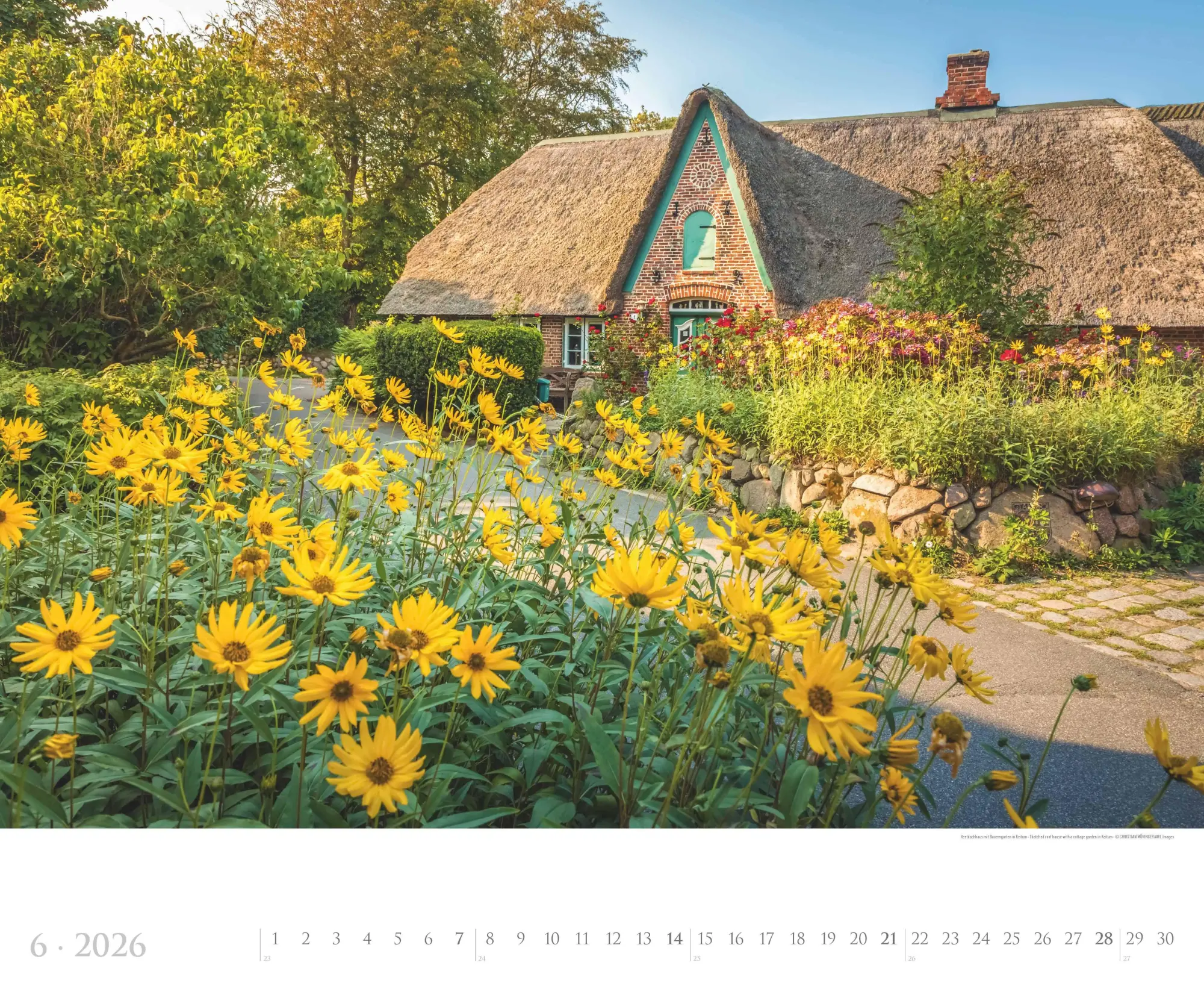 Bild: 4069095005785 | Sylt 2026 - Bildkalender XXL 60x50 cm - hochwertiger Wandkalender...