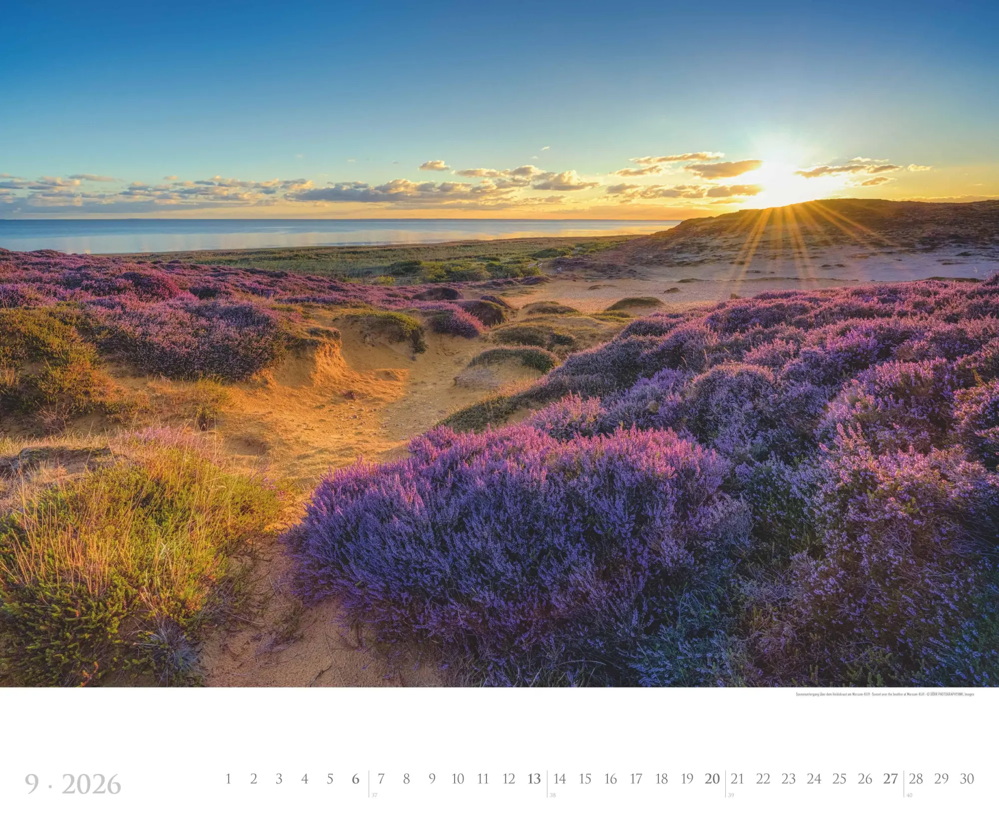 Bild: 4069095005785 | Sylt 2026 - Bildkalender XXL 60x50 cm - hochwertiger Wandkalender...