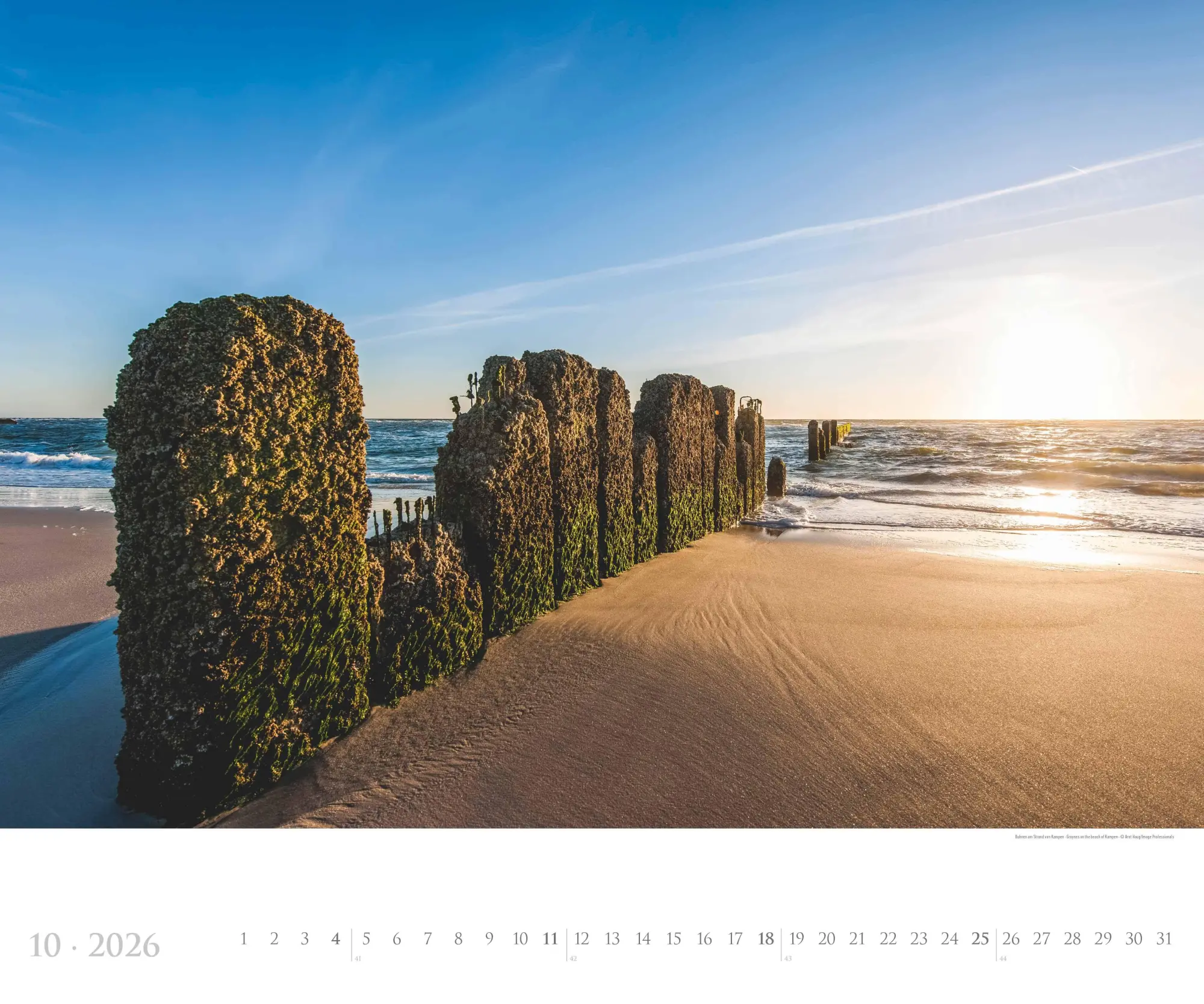 Bild: 4069095005785 | Sylt 2026 - Bildkalender XXL 60x50 cm - hochwertiger Wandkalender...