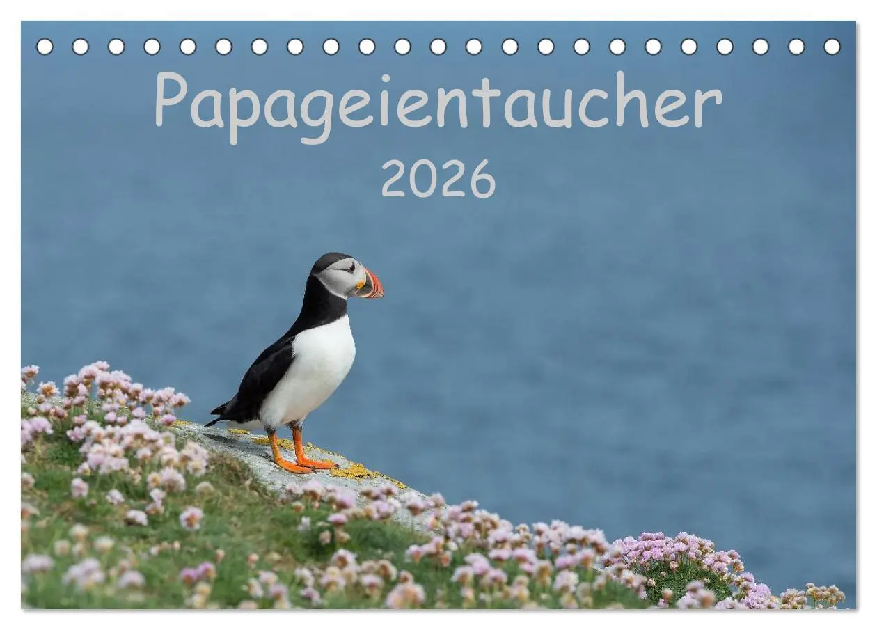 Cover: 9783516135985 | Papageientaucher 2026 (Tischkalender 2026 DIN A5 quer), CALVENDO...