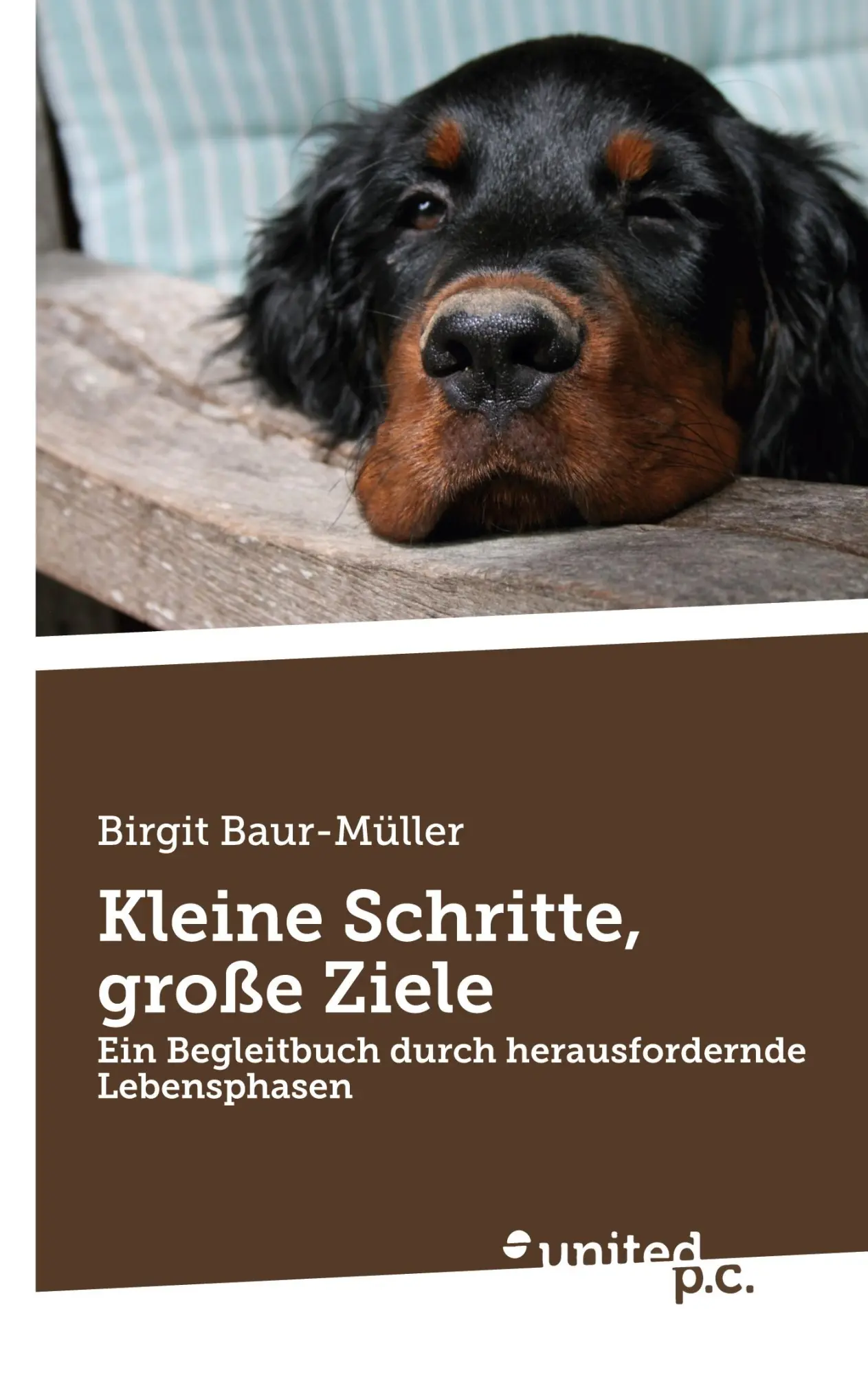 Cover: 9783710315985 | Kleine Schritte, große Ziele | Birgit Baur-Müller | Taschenbuch | 2024