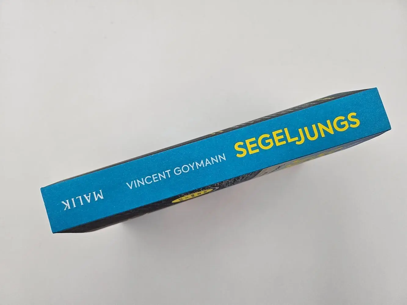 Bild: 9783890295985 | Segeljungs | Vincent Goymann | Taschenbuch | 320 S. | Deutsch | 2025