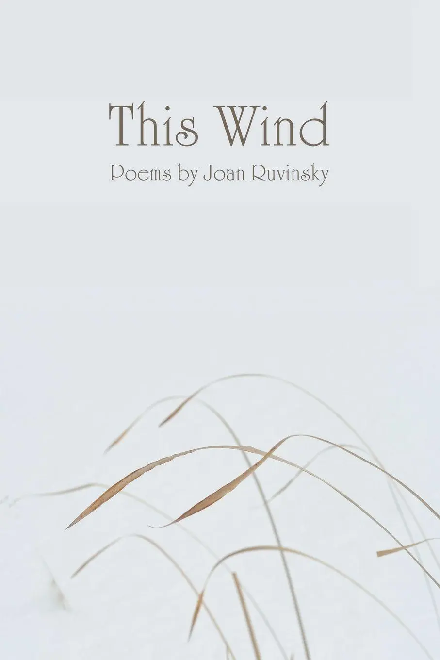 Cover: 9781738086085 | This Wind | Joan Ruvinsky | Taschenbuch | Englisch | 2026