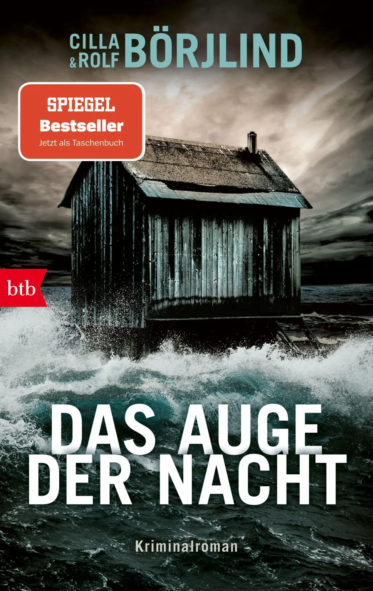 Cover: 9783442776085 | Das Auge der Nacht | Kriminalroman | Cilla Börjlind (u. a.) | Buch