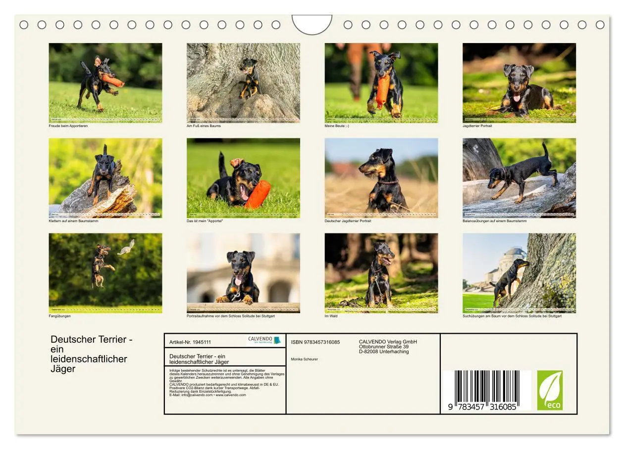 Bild: 9783457316085 | Deutscher Terrier - ein leidenschaftlicher Jäger (Wandkalender 2026...