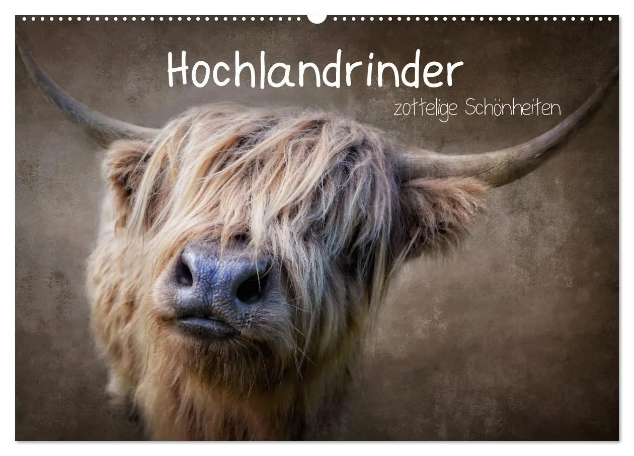 Cover: 9783457626085 | Hochlandrinder - Zottelige Schönheiten (Wandkalender 2026 DIN A2...