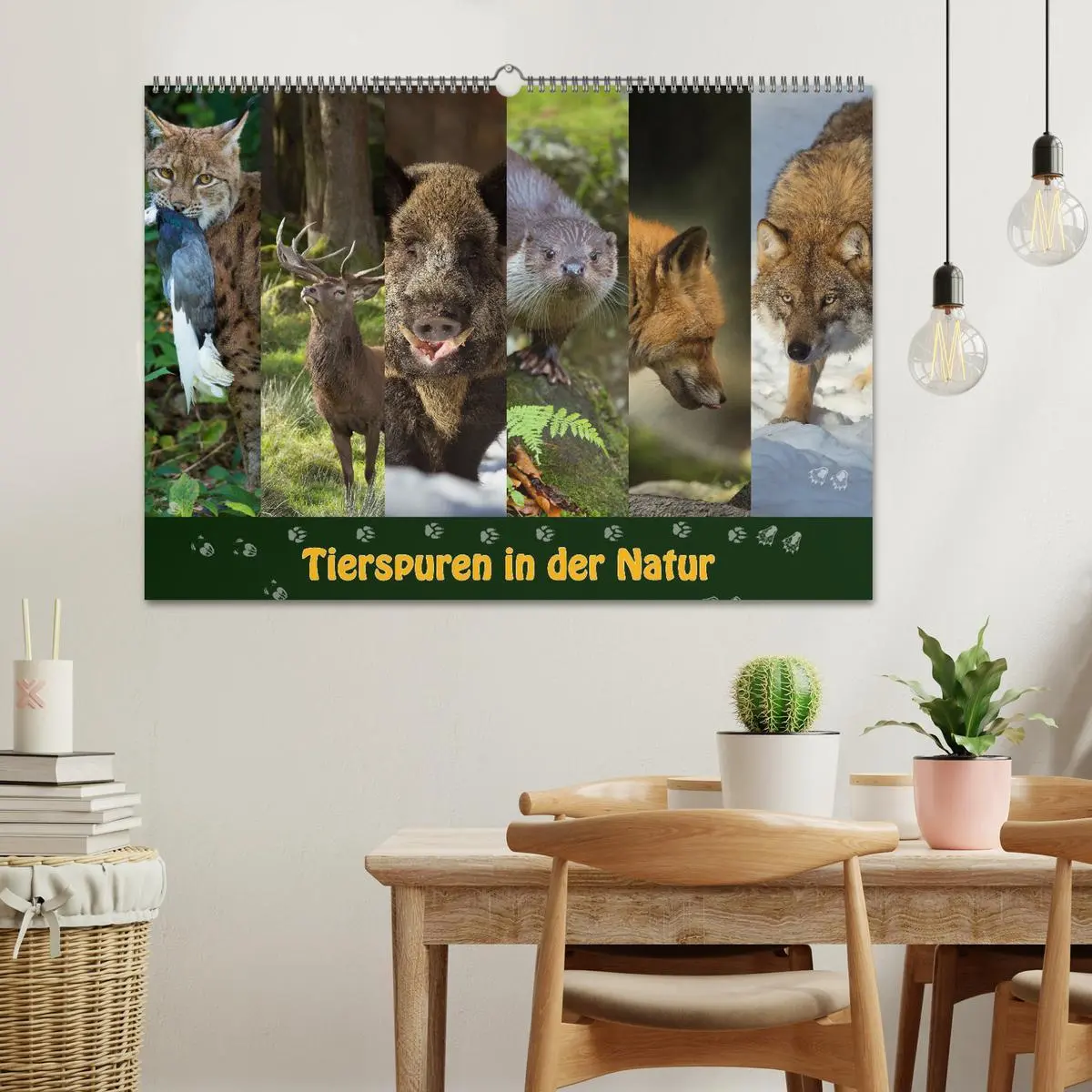 Bild: 9783457866085 | Tierspuren in der Natur (Wandkalender 2026 DIN A2 quer), CALVENDO...