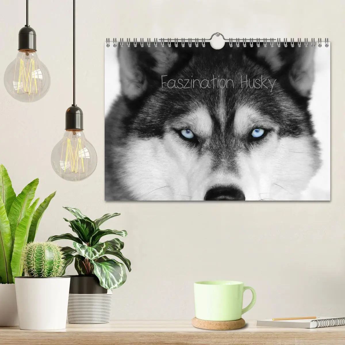 Bild: 9783457936085 | Faszination Husky (Wandkalender 2026 DIN A4 quer), CALVENDO...