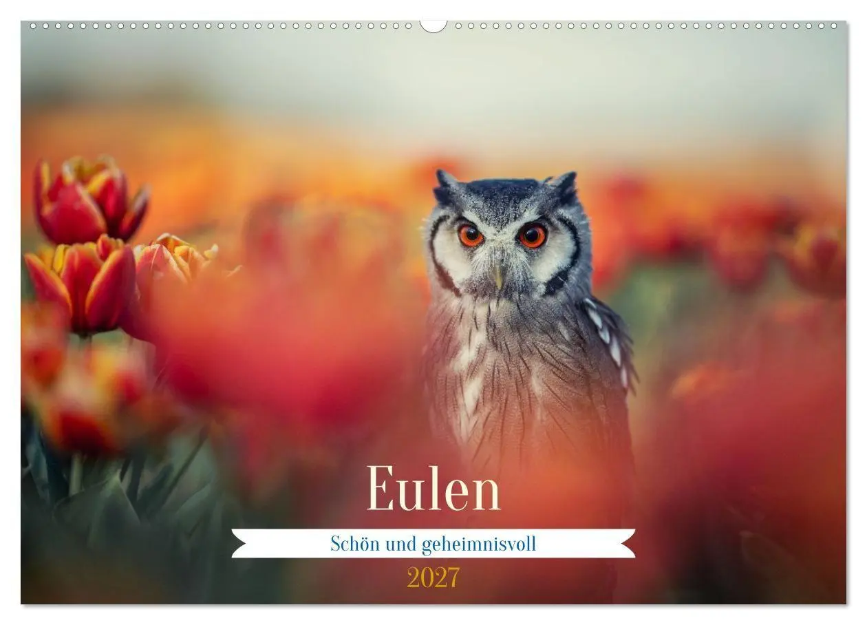 Cover: 9783516956085 | Eulen - schön und geheimnisvoll (Wandkalender 2027 DIN A2 quer),...