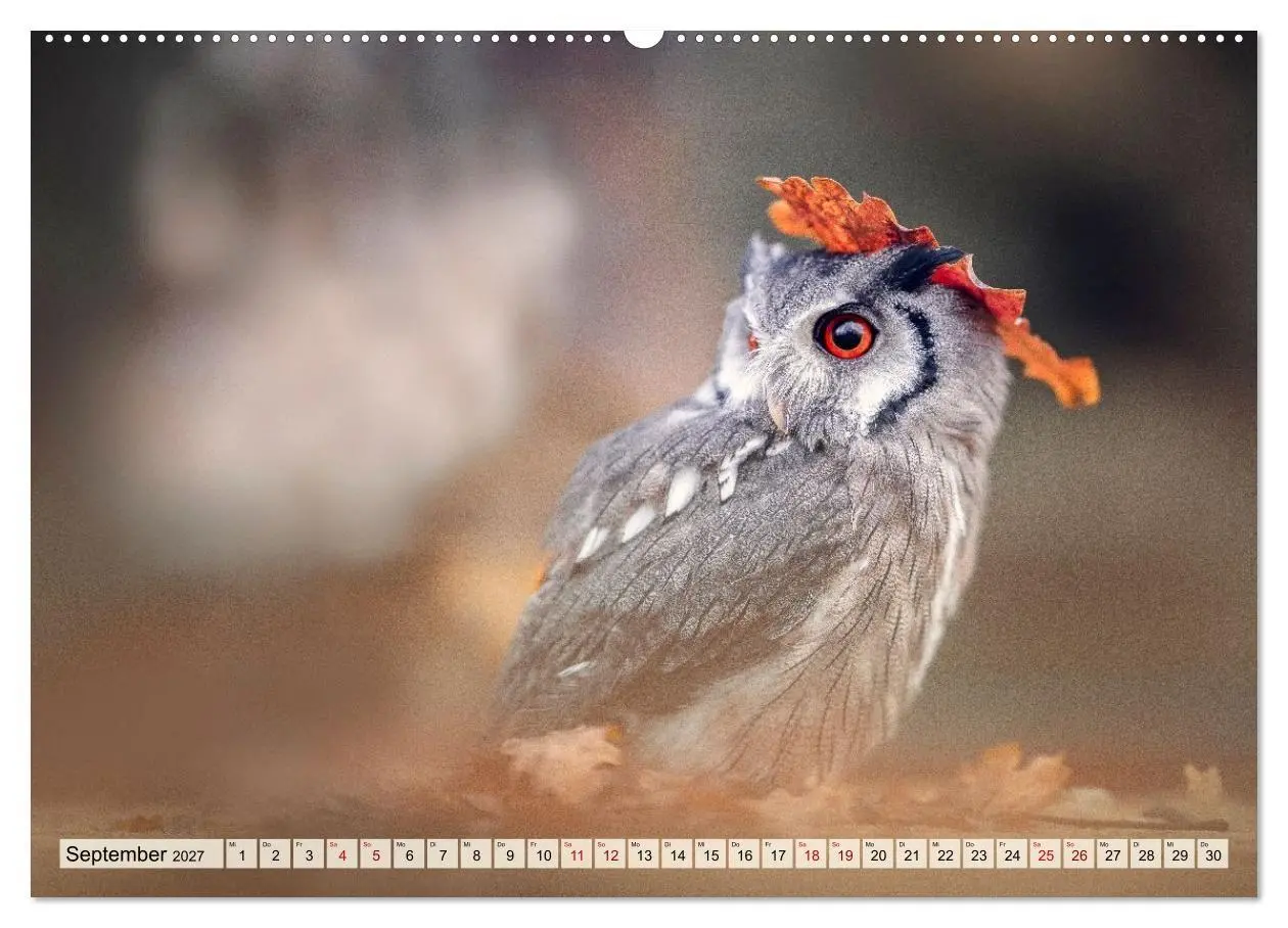 Bild: 9783516956085 | Eulen - schön und geheimnisvoll (Wandkalender 2027 DIN A2 quer),...