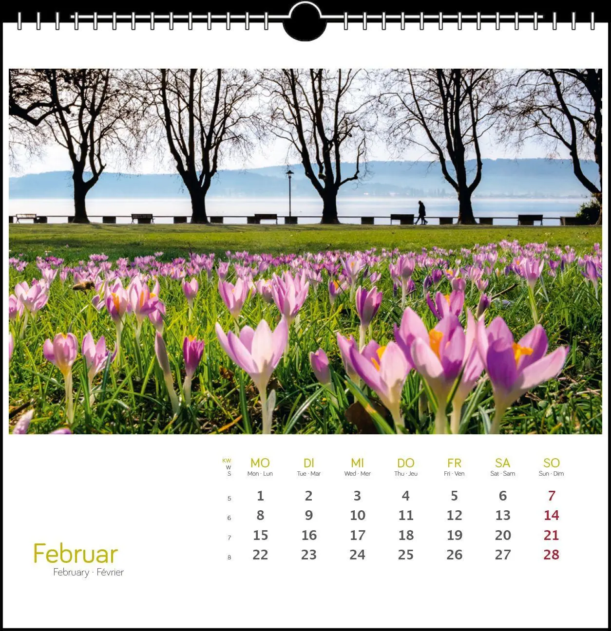 Bild: 9783861926085 | Westlicher Bodensee 2027 | Postkarten-Tischkalender | Frank Herkner