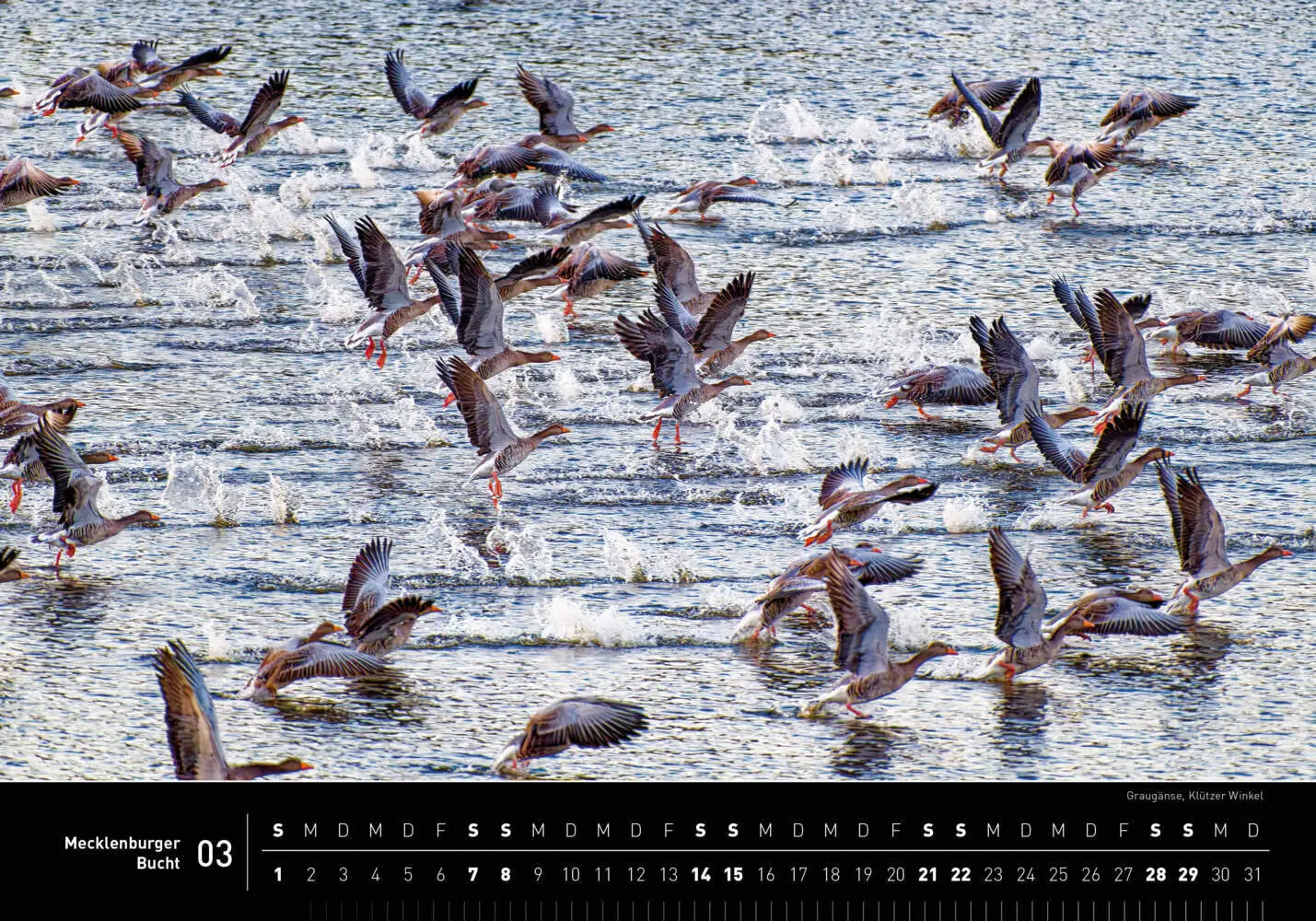 Bild: 9783968556185 | Mecklenburger Bucht Premiumkalender 2026 | Thomas Schneider | Kalender