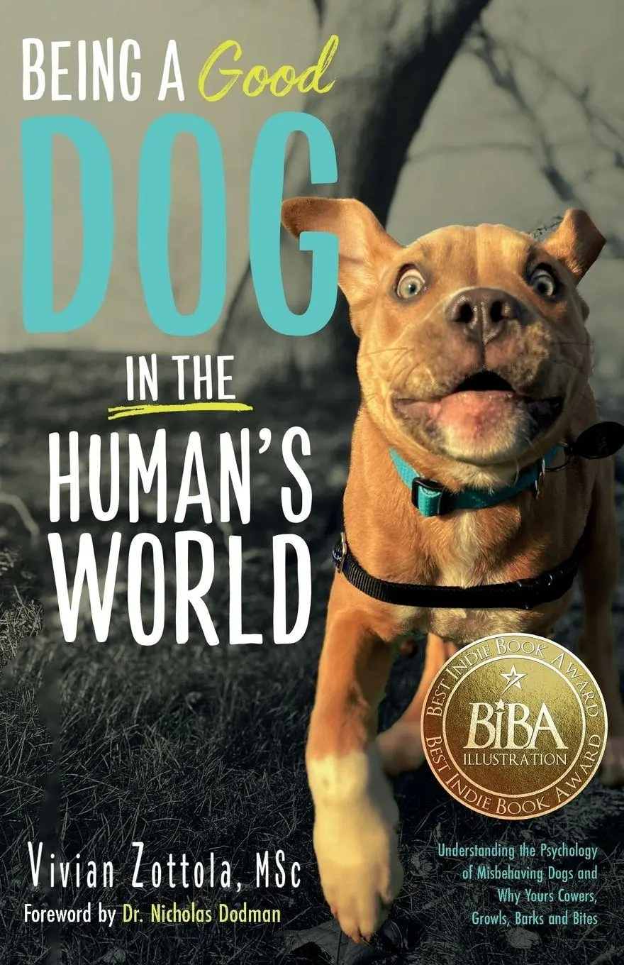 Cover: 9798822966185 | Being A (Good) Dog In The Human's World | Vivian Zottola Msc | Buch
