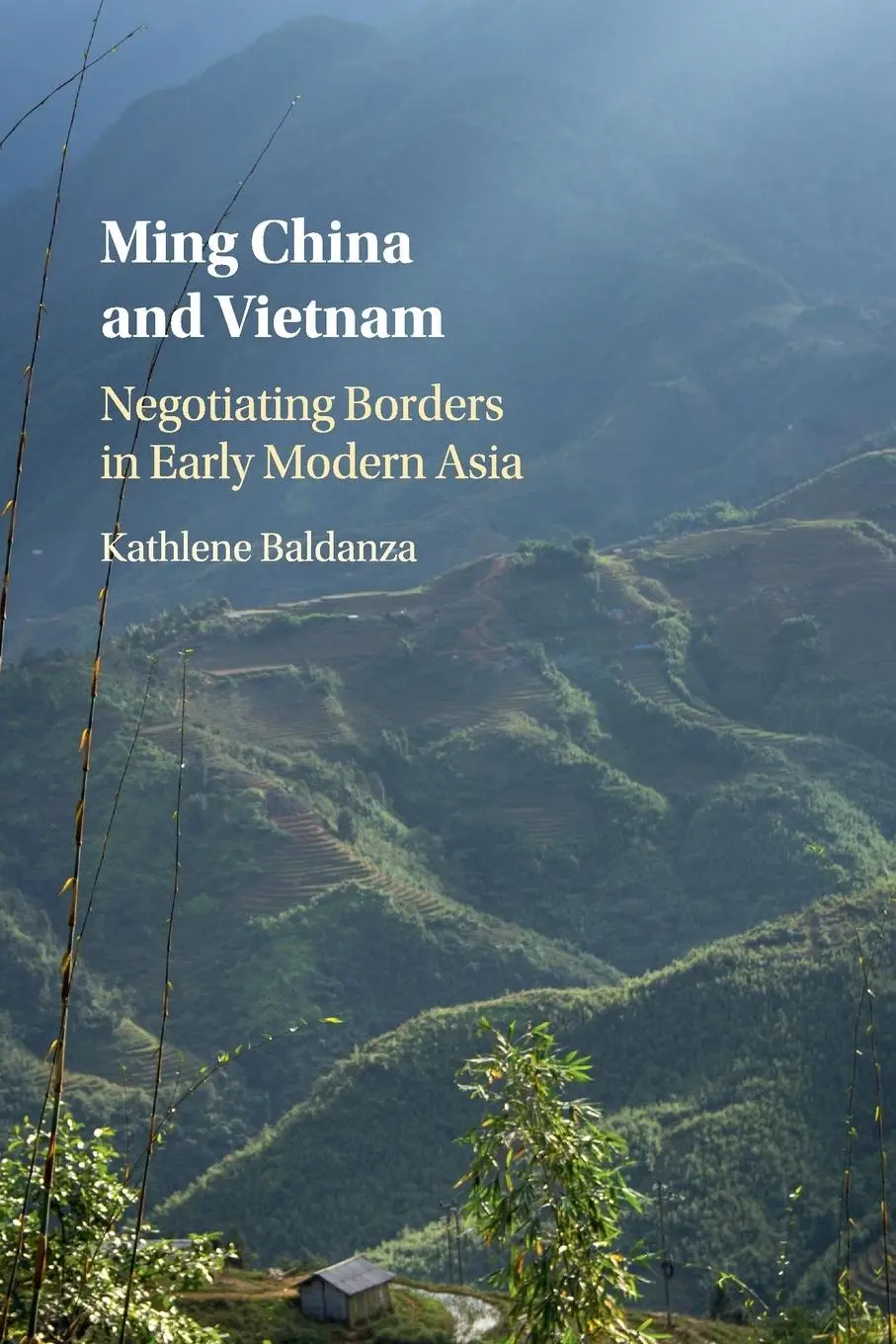 Cover: 9781107576285 | Ming China and Vietnam | Kathlene Baldanza | Taschenbuch | Englisch