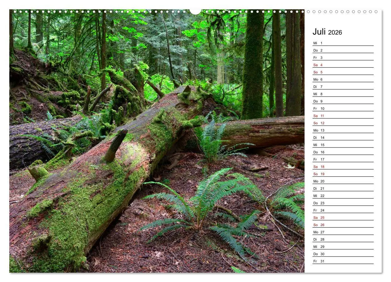 Bild: 9783457766385 | Vancouver Island - Perle im Kanadischen Westen (hochwertiger...