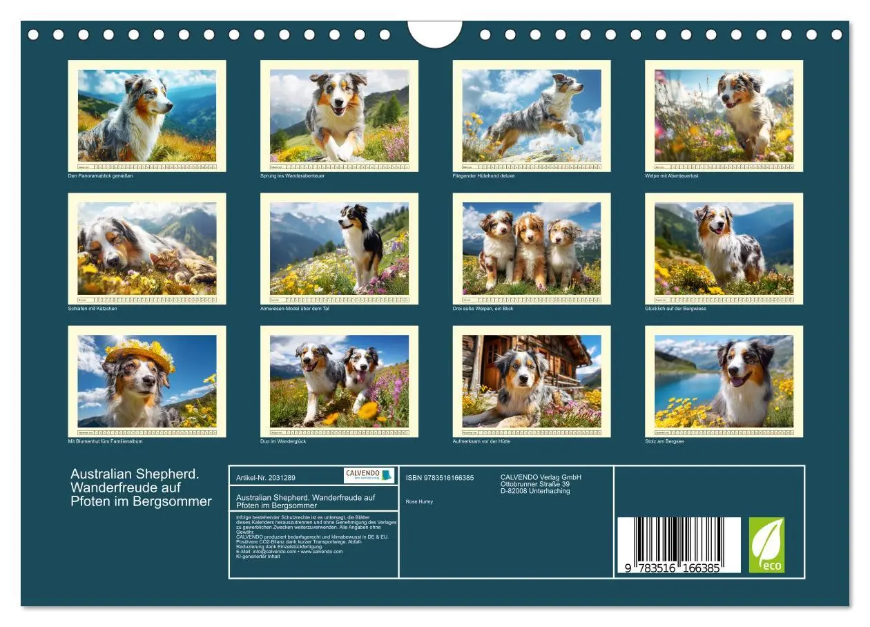 Bild: 9783516166385 | Australian Shepherd. Wanderfreude auf Pfoten im Bergsommer...