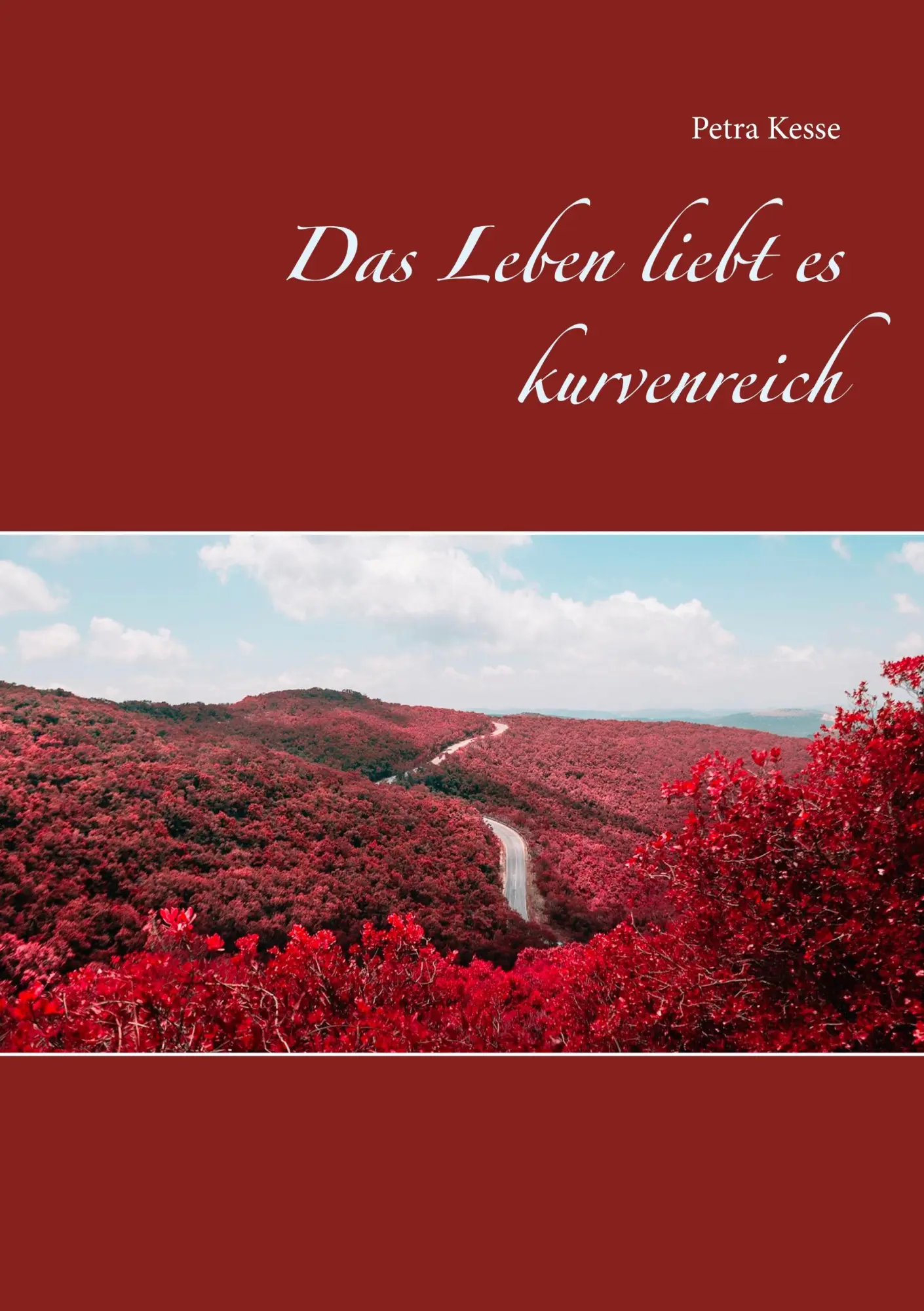 Cover: 9783749436385 | Das Leben liebt es kurvenreich | Petra Kesse | Taschenbuch | 208 S.