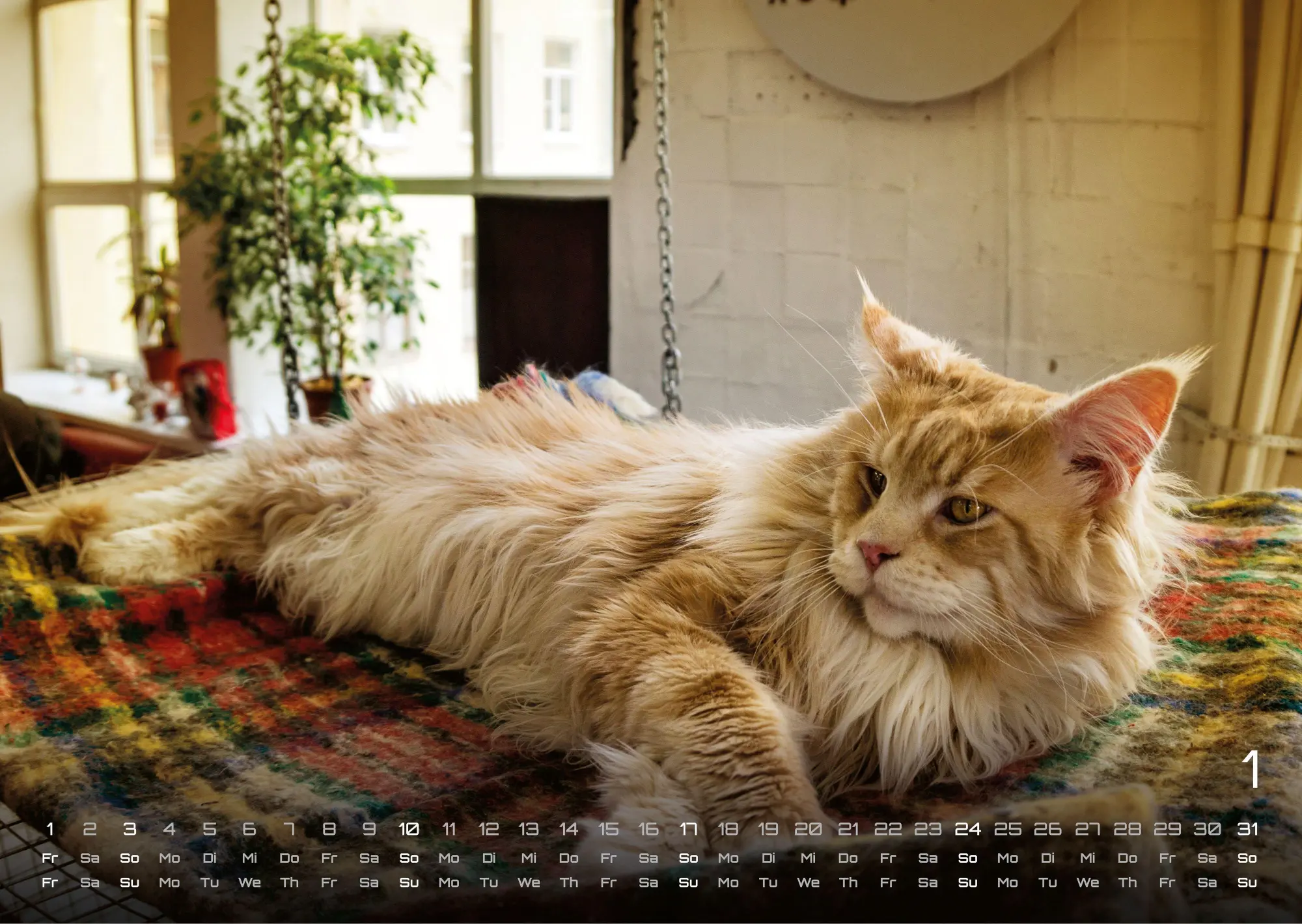 Bild: 9783986736385 | Miau - Unsere Stubentiger - Der Katzenkalender - 2027 - Kalender...